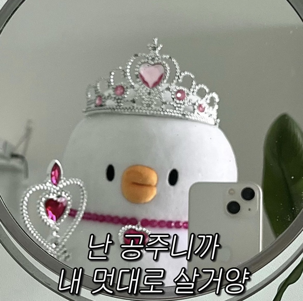 KREAM 프로필 이미지