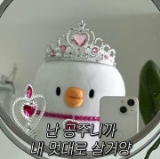 KREAM 프로필 이미지