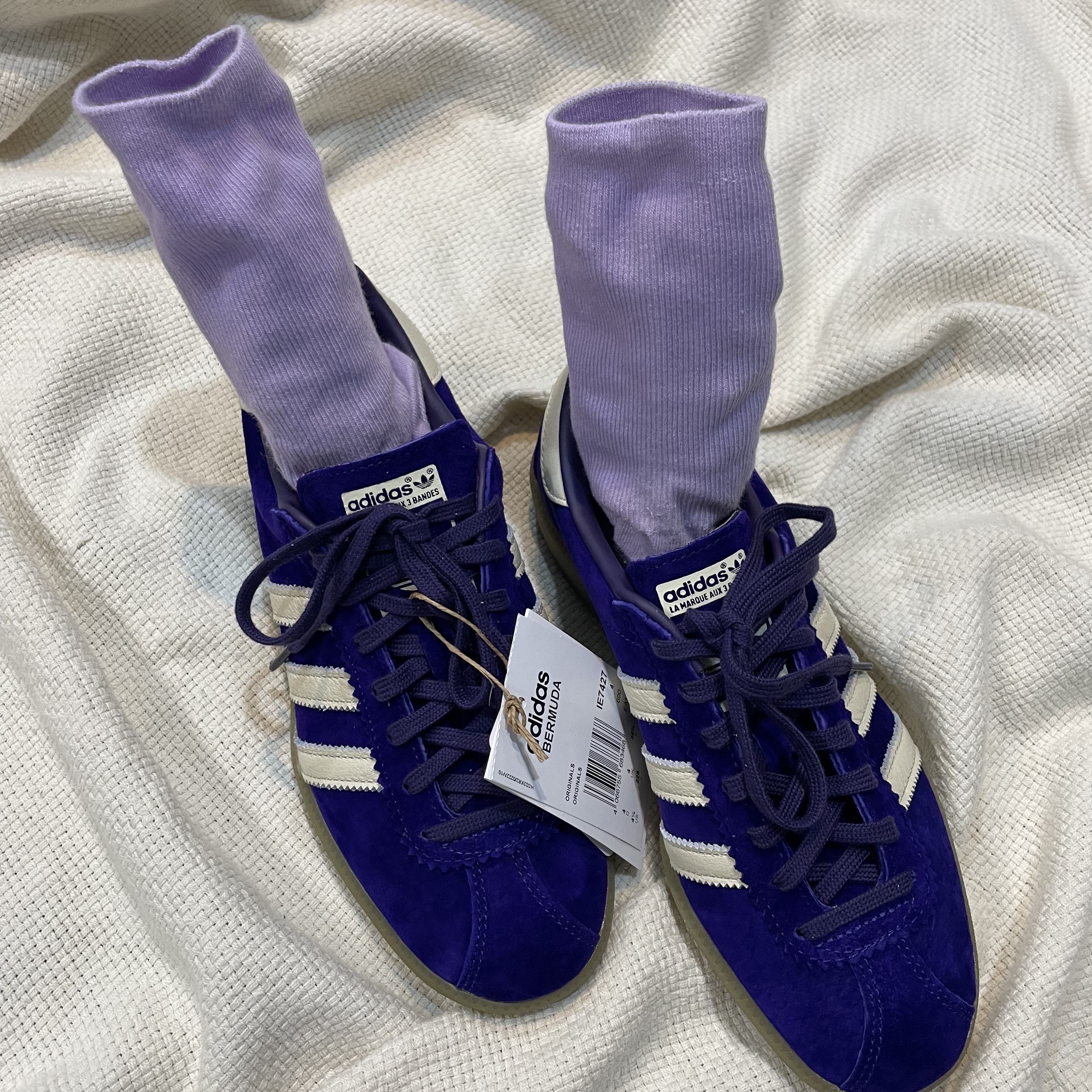 Adidas Bermuda College Purple Cream White 착용 스타일 - 2
