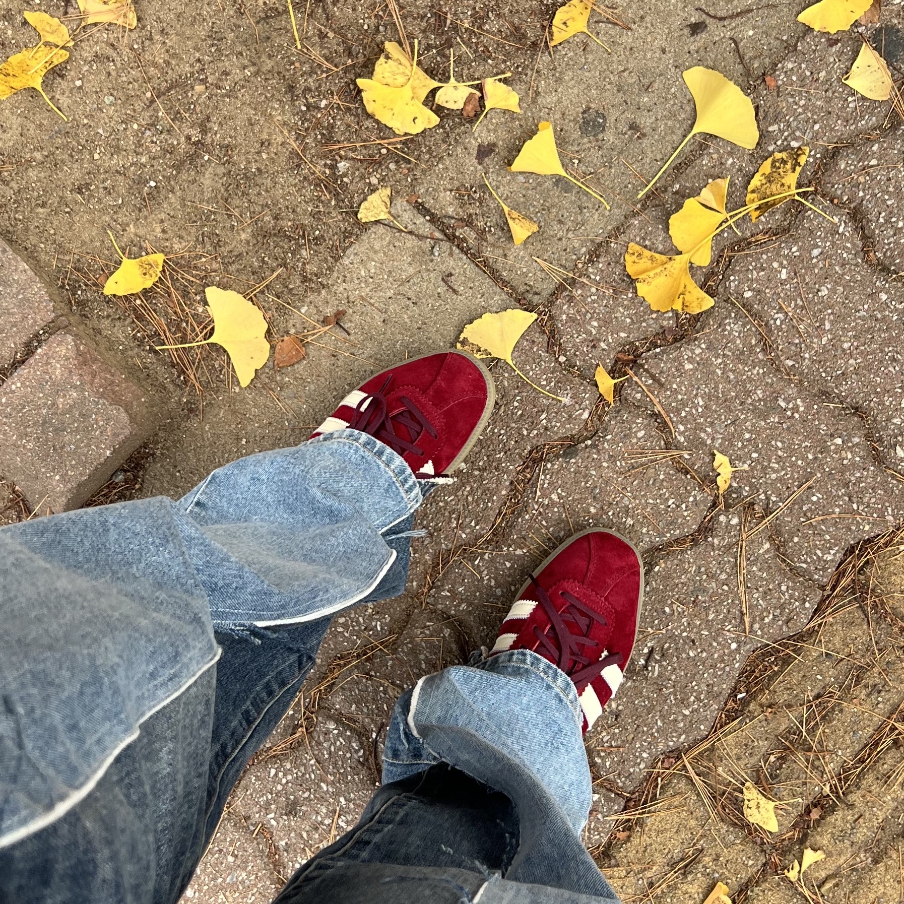 Adidas Bermuda College Burgundy 착용 스타일