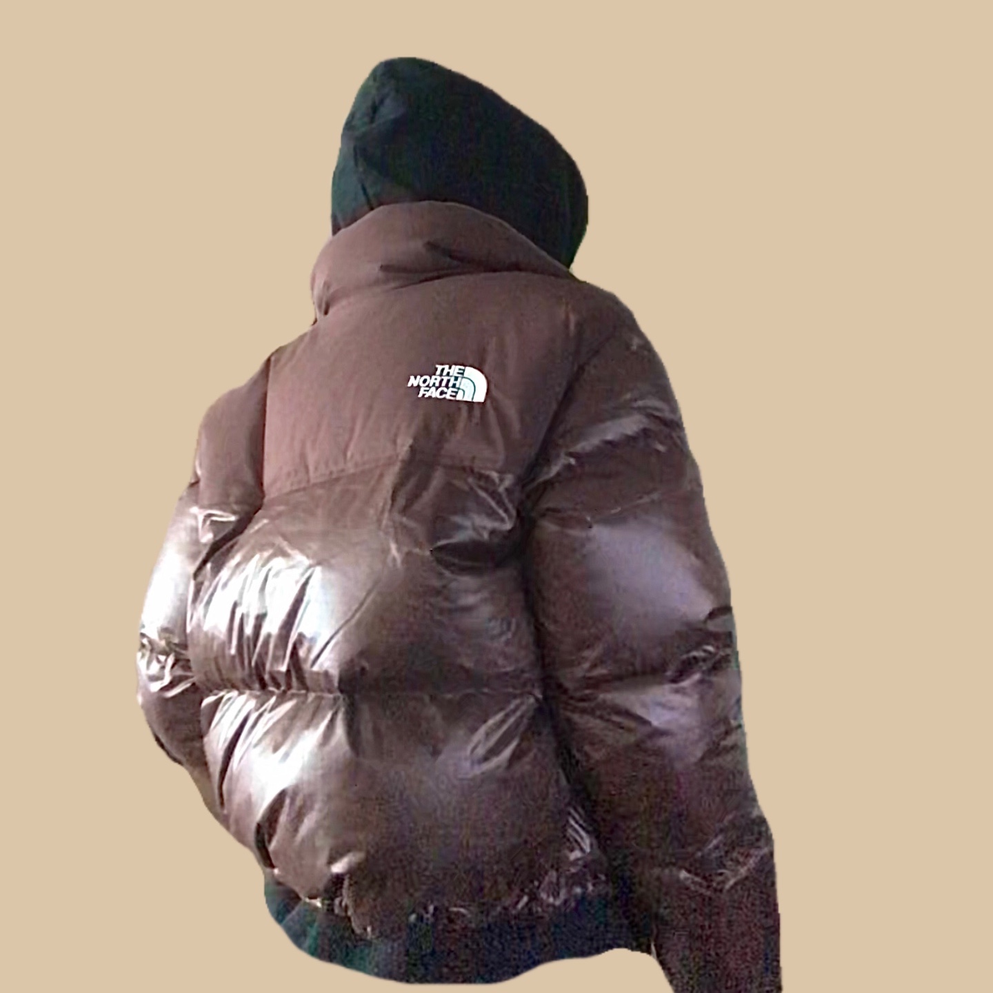 (W) The North Face White Label Novelty Nuptse Down Jacket Cocoa Brown 착용 스타일
