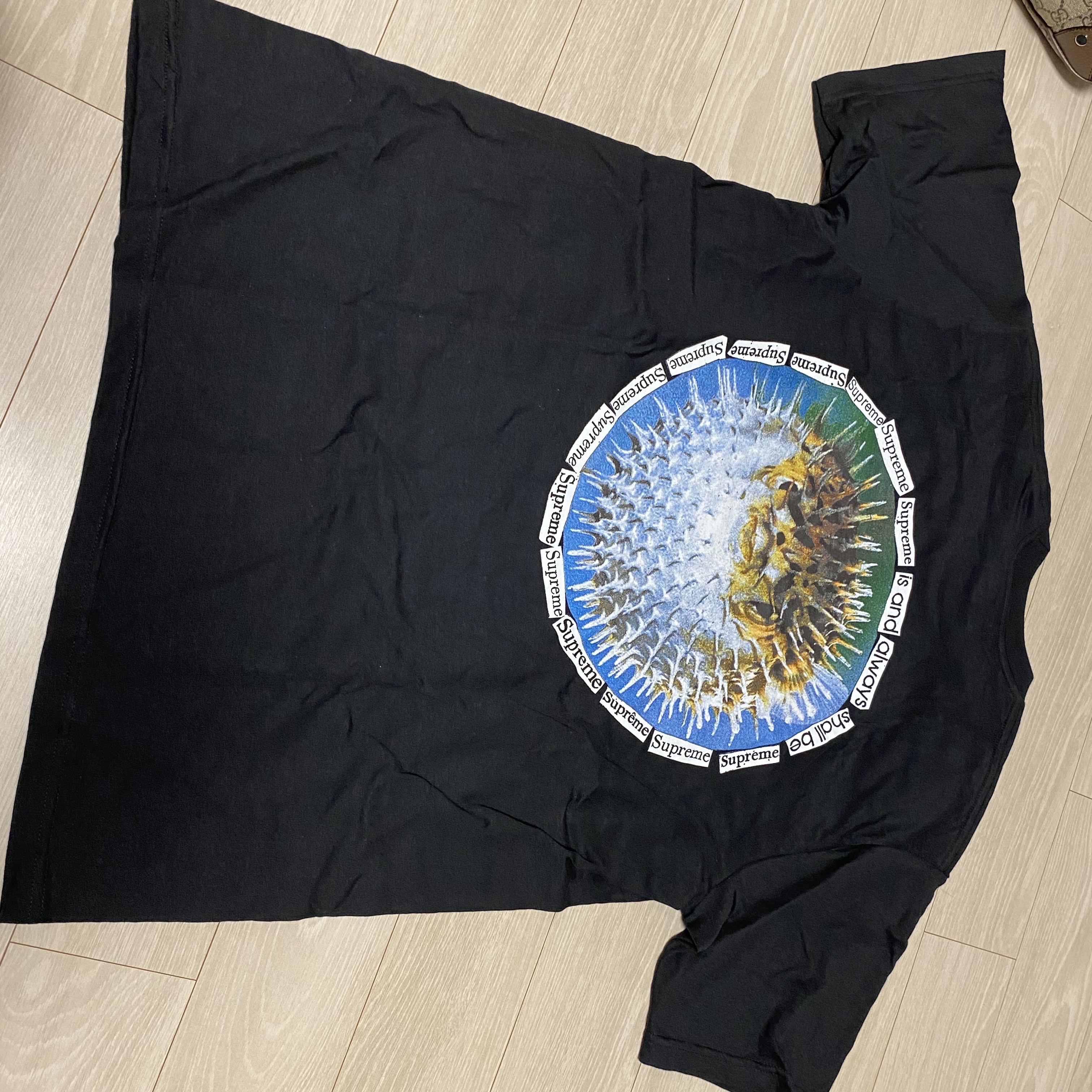 Supreme Blowfish T-Shirt Black - 23SS 착용 스타일