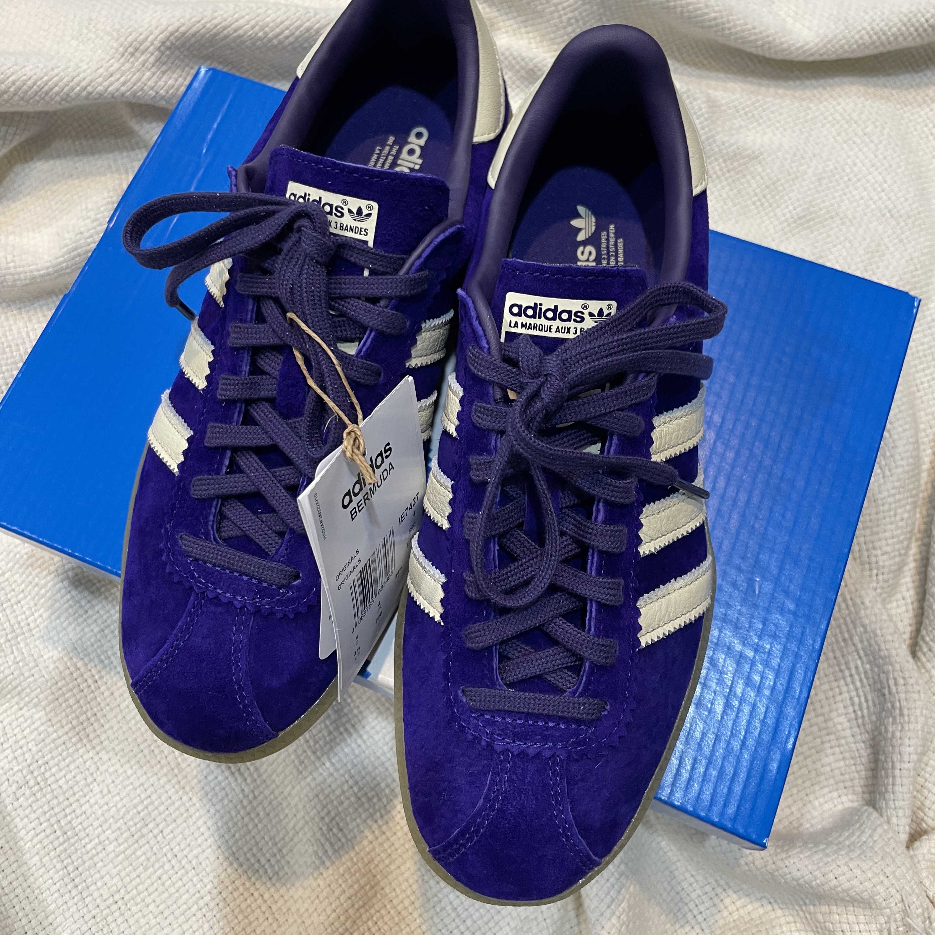 Adidas Bermuda College Purple Cream White 착용 스타일 - 3