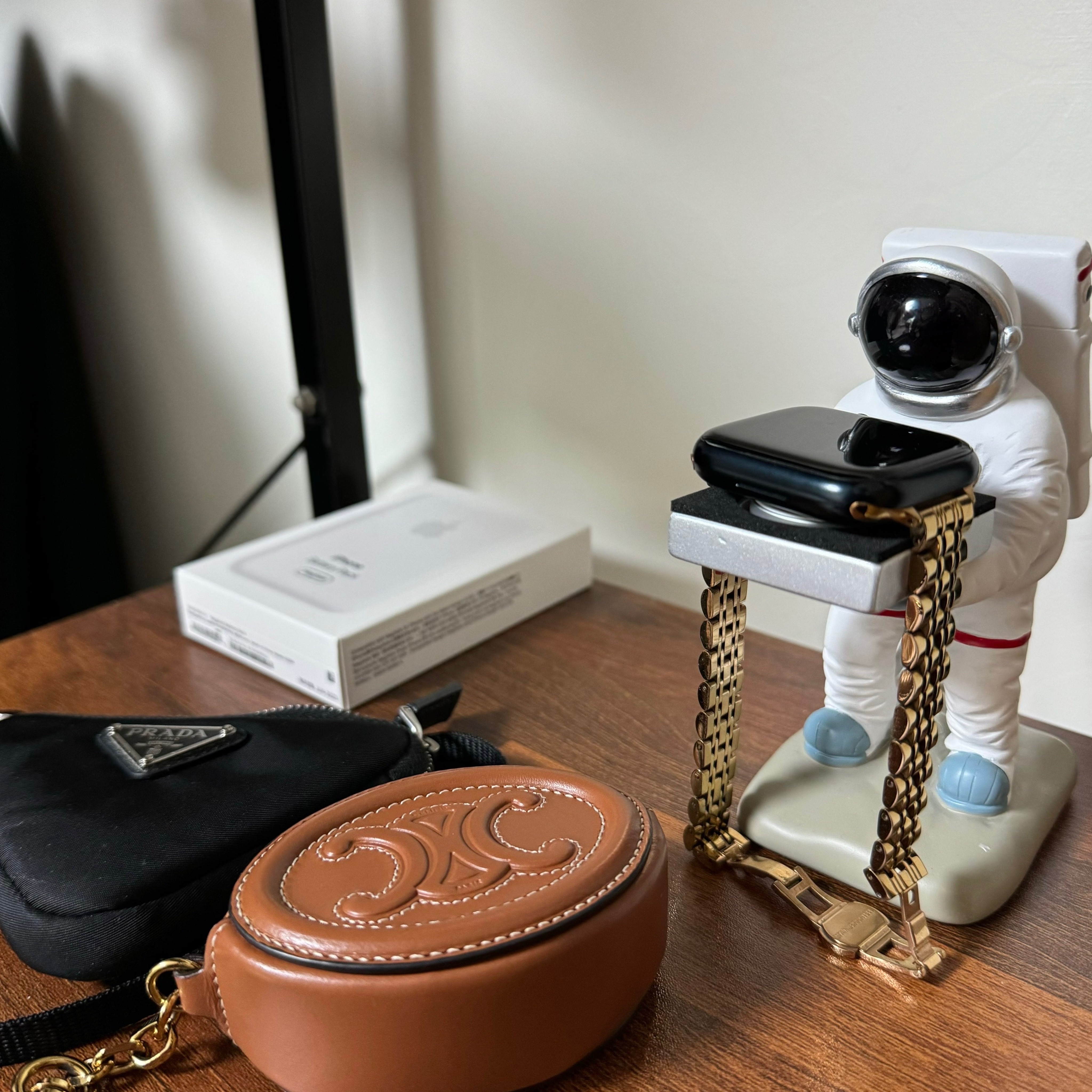 Celine Coin Purse Cuir Triomphe in Smooth Calfskin Tan, Prada Re-Nylon Mini Pouch Black 착용 스타일