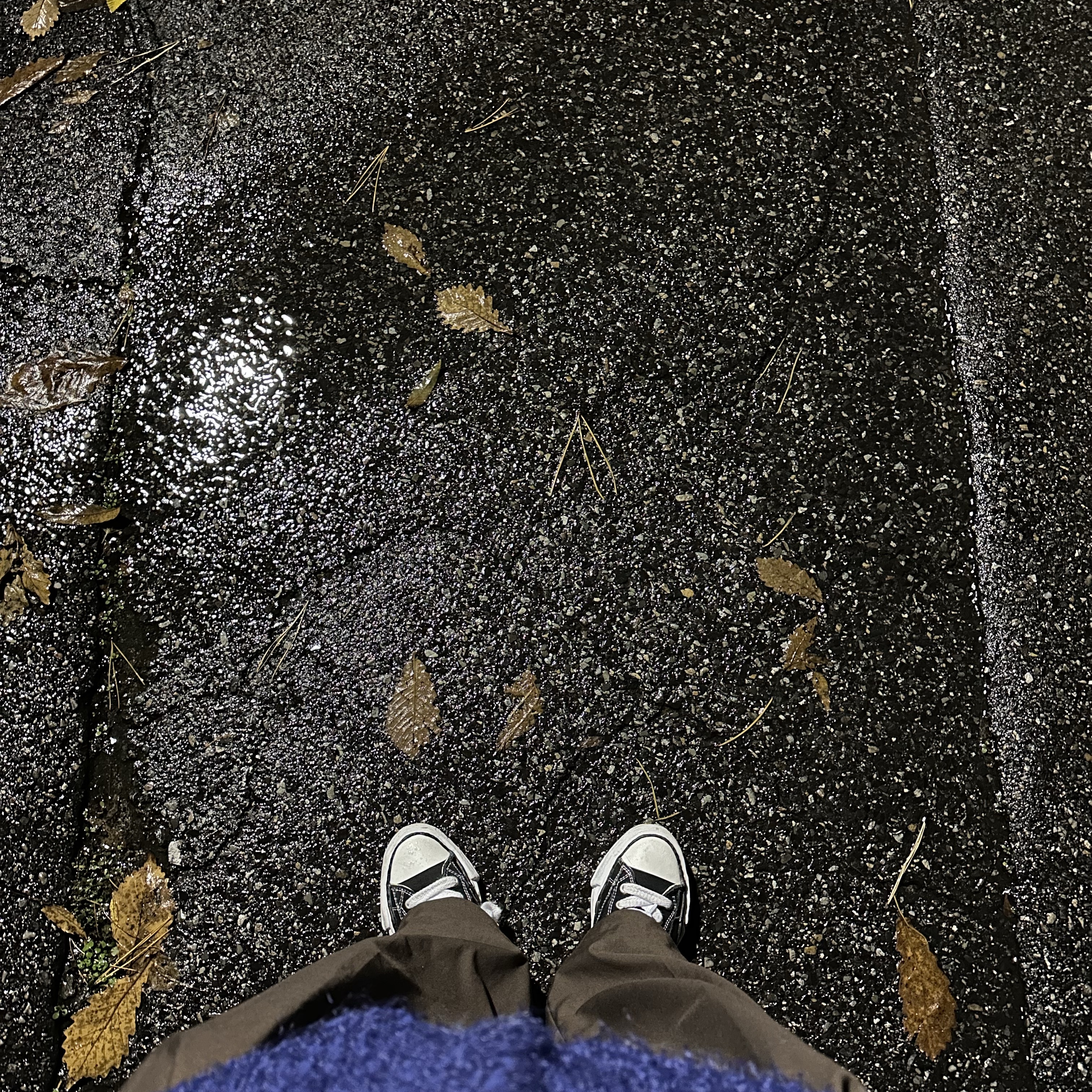 Maison Mihara Yasuhiro Peterson OG Sole Canvas Low Sneakers Black 착용 스타일