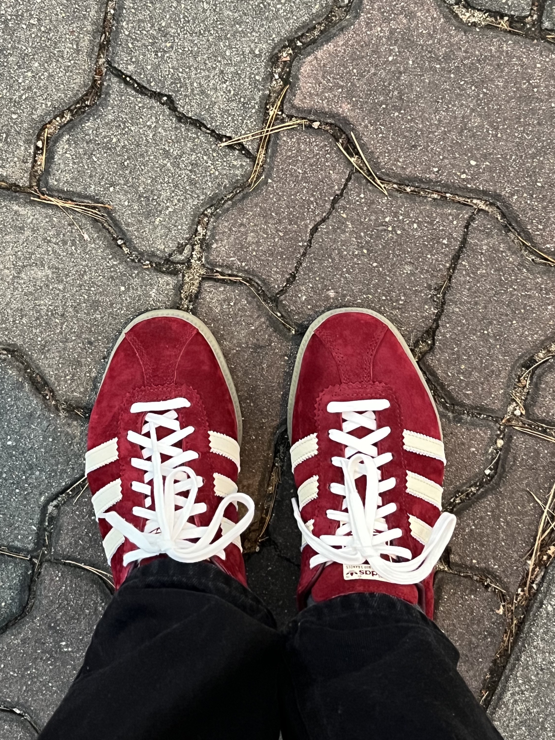 Adidas Bermuda College Burgundy 착용 스타일