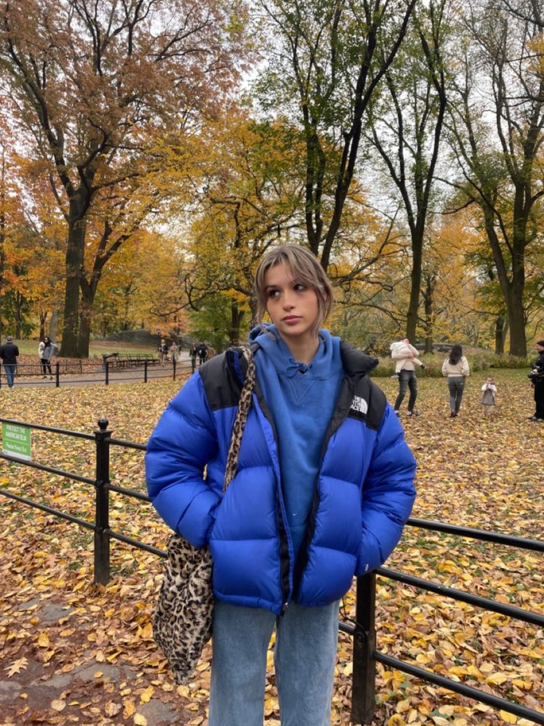 (W) The North Face 1996 Retro Nuptse Jacket Lapis Blue, Nike x Why So Sad? SB Dunk Low Pro Coastal Blue 착용 스타일 - 2