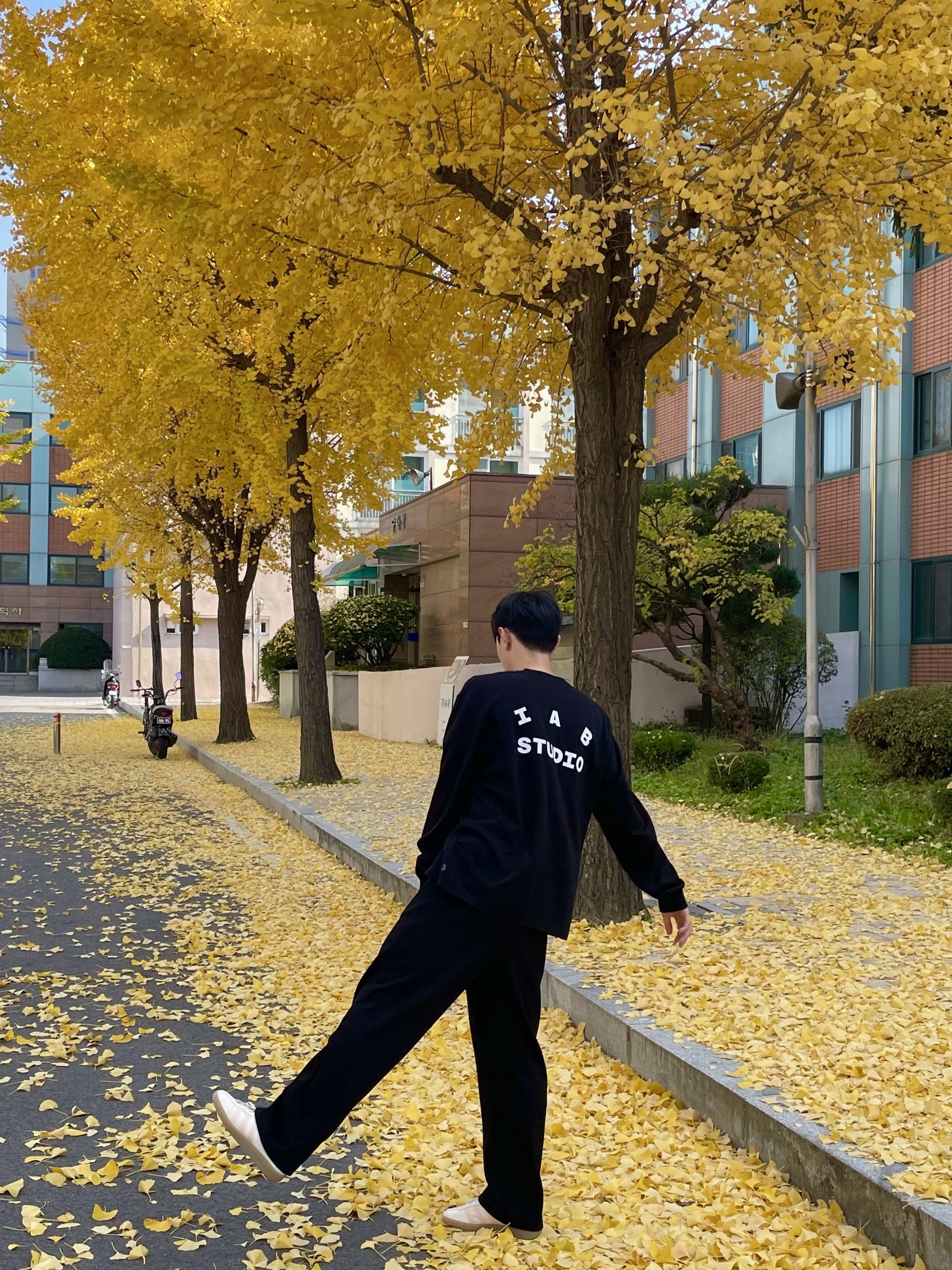 Adidas Bermuda Wonder White, IAB Studio Long Sleeve Black - 23FW 착용 스타일