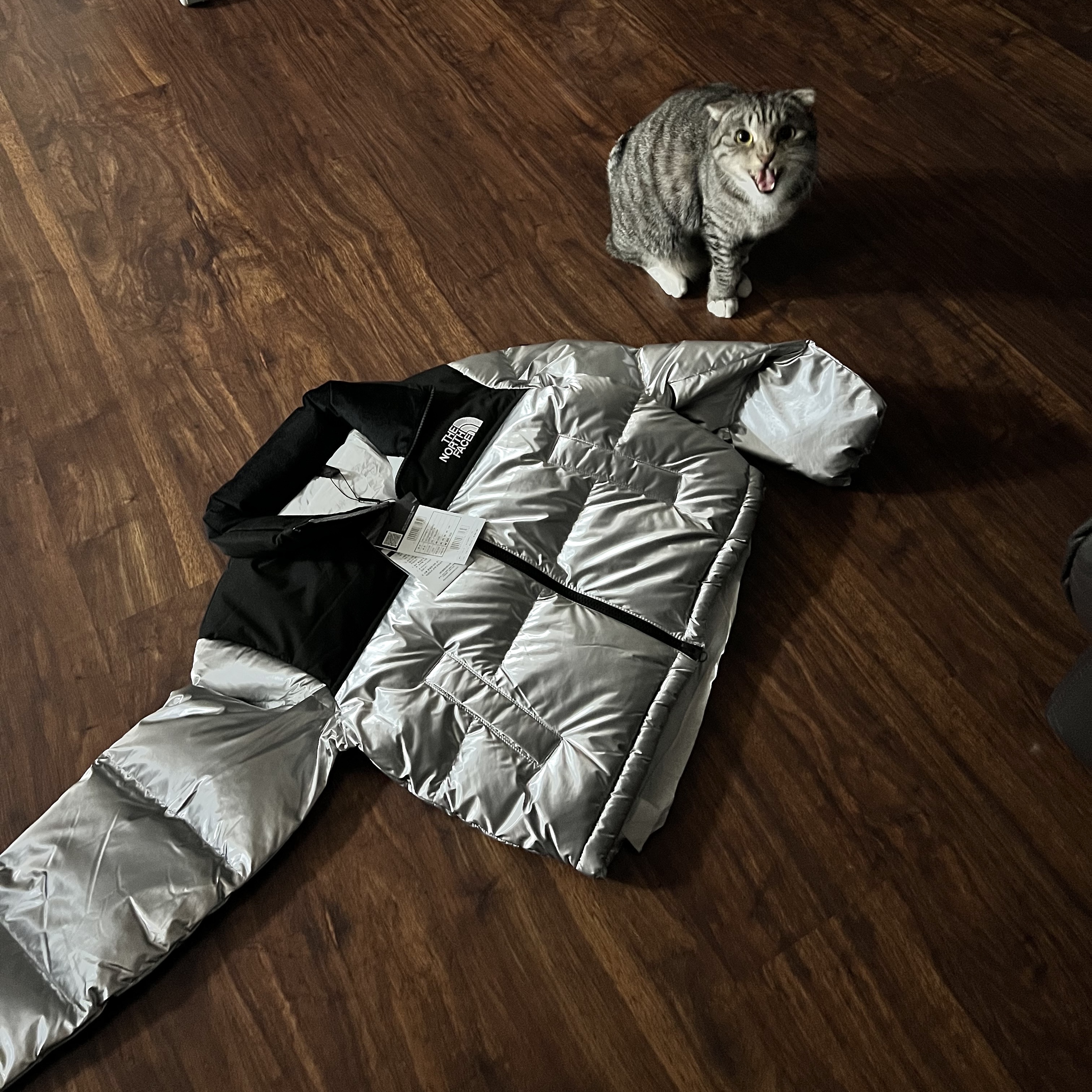 (W) The North Face White Label Novelty Nuptse Down Jacket Silver 착용 스타일