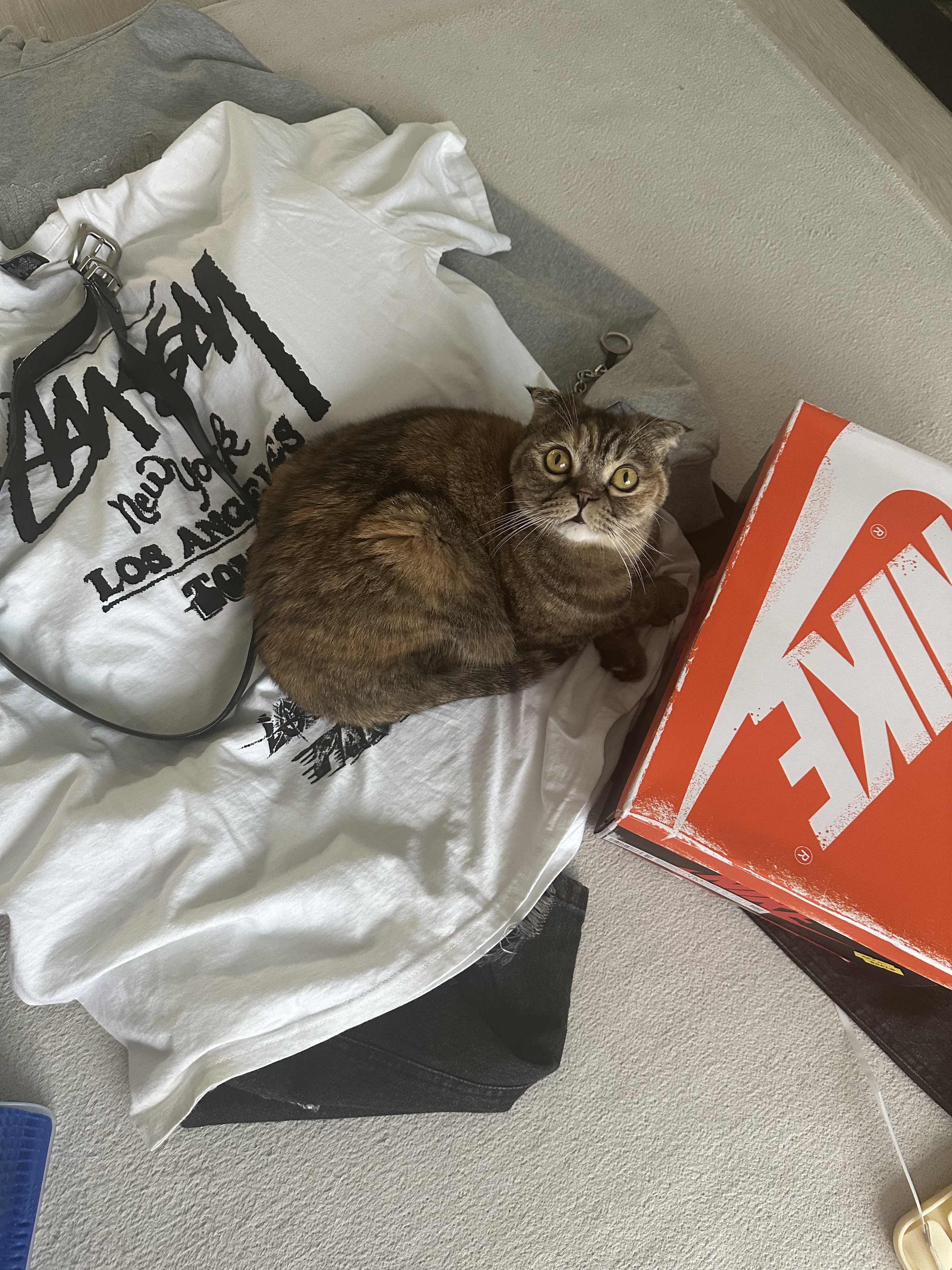 Stussy Tour T-Shirt White, Jordan 1 Retro High OG Chicago 2022 착용 스타일