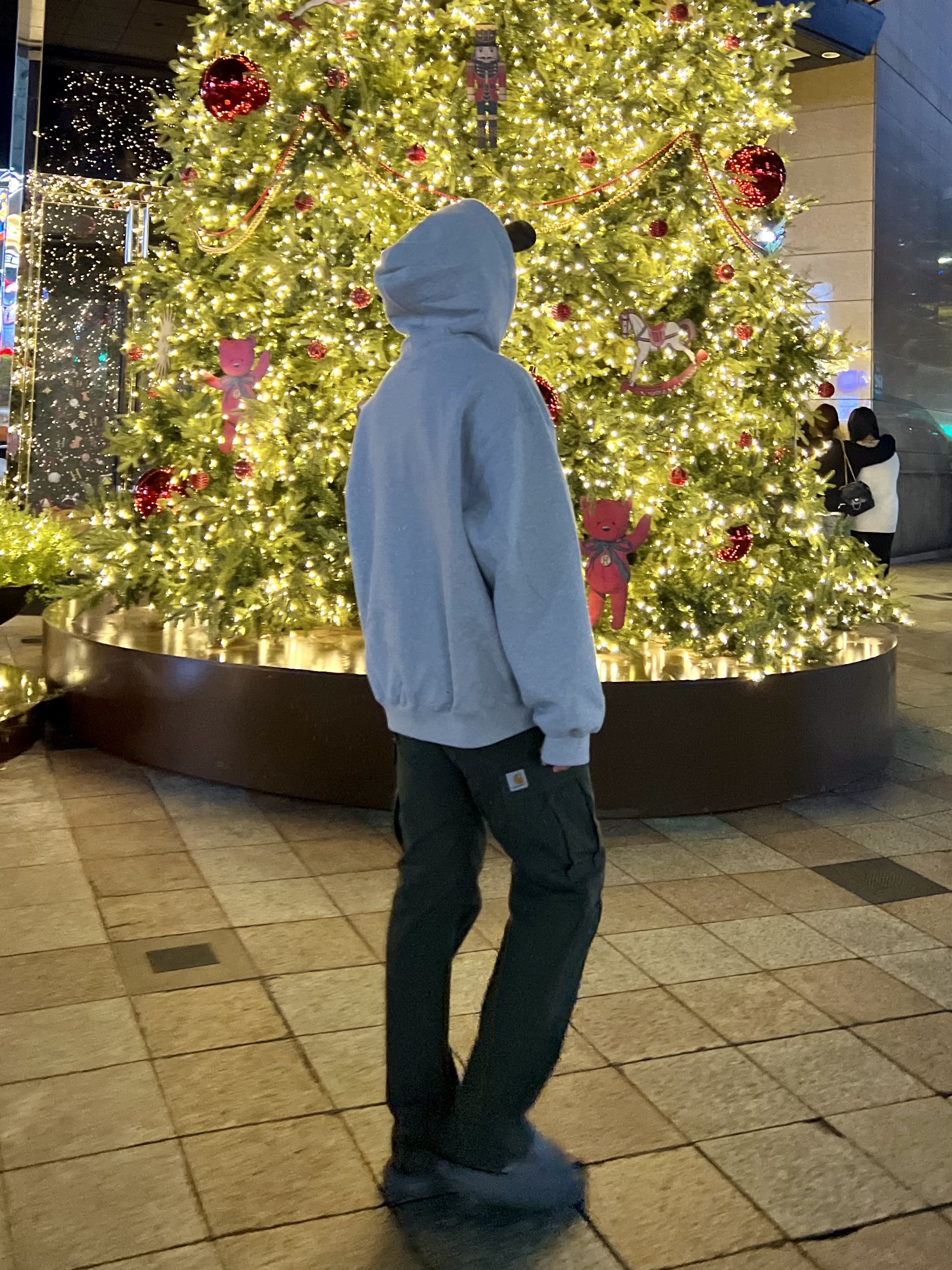 Supreme Collegiate Patchwork Leather Hooded Sweatshirt Heather Grey - 23FW, Carhartt WIP Columbia Ripstop Regular Cargo Pant Cypress 착용 스타일