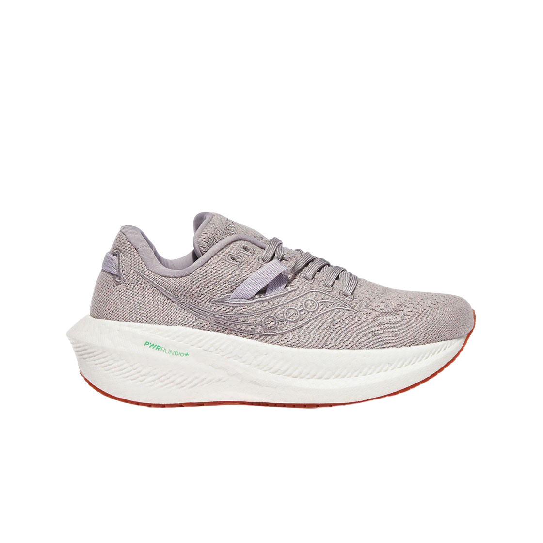 (W) 써코니 트라이엄프 21 RFG 모브((W) Saucony Triumph 21 RFG Mauve) - 1