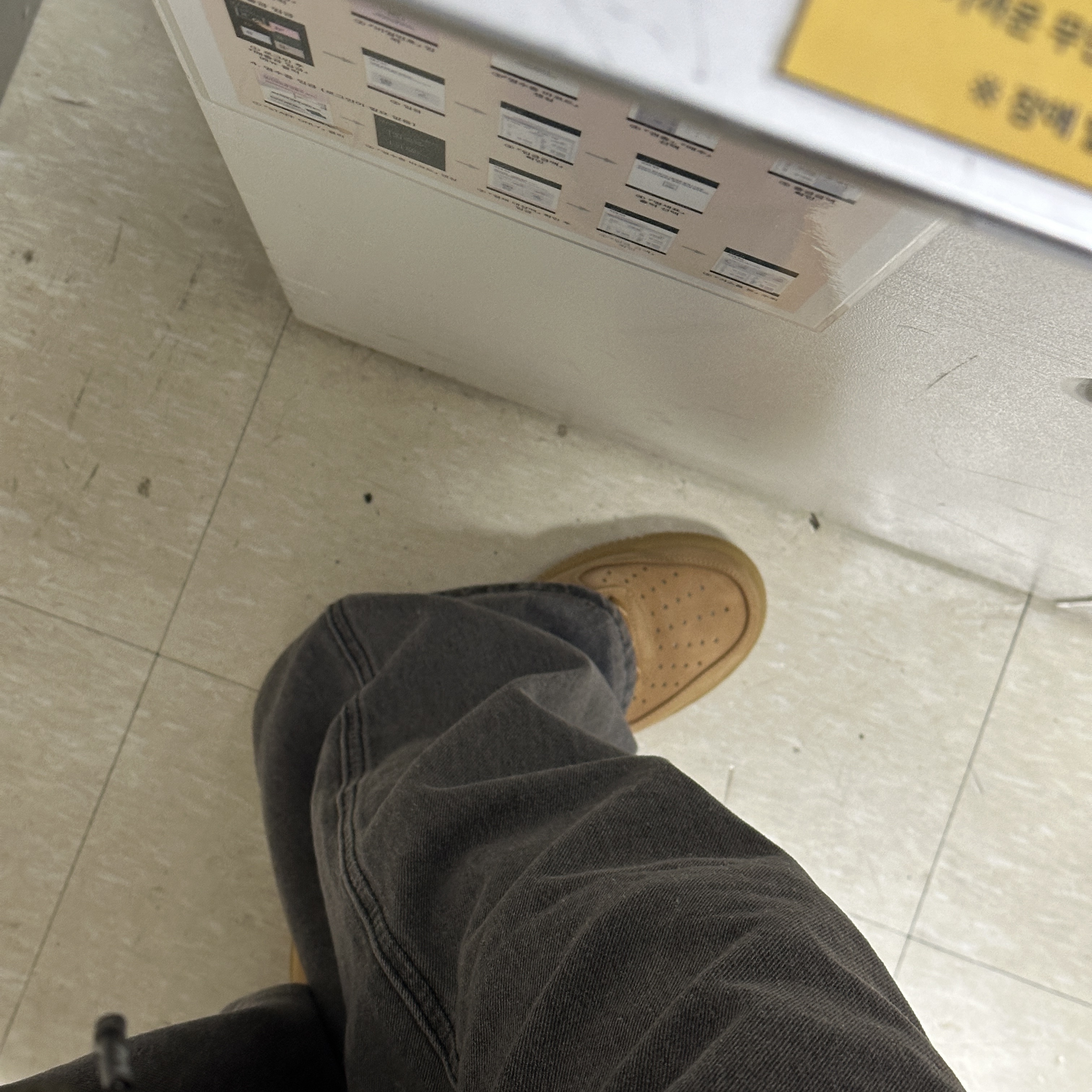 Nike Air Force 1 '07 WB Flax 착용 스타일