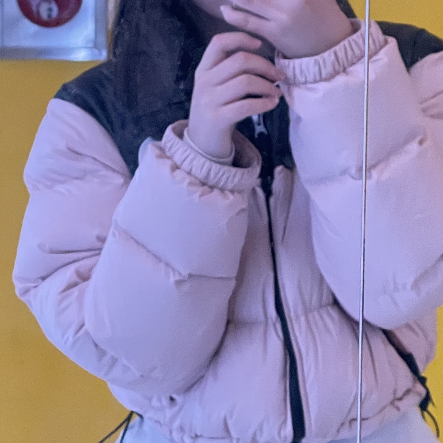 (W) The North Face Nuptse Short Jacket Pink Moss 착용 스타일