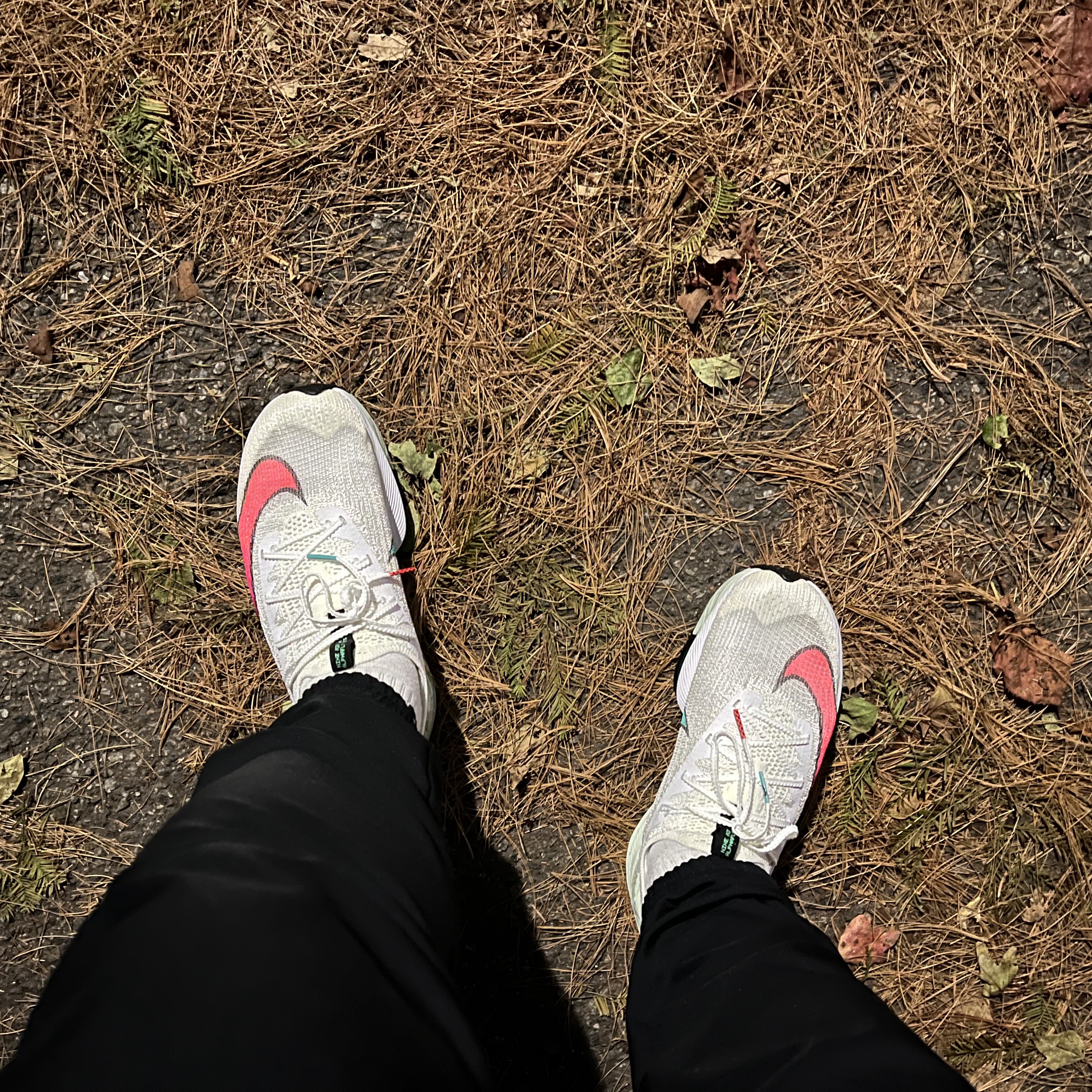 Nike Air Zoom Alphafly Next% Watermelon 착용 스타일
