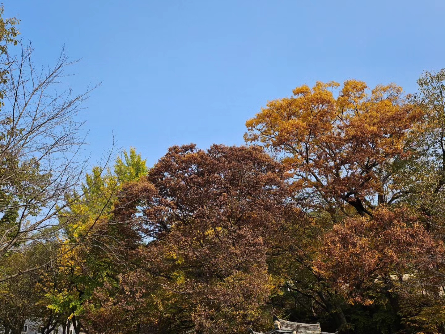 Vans Vault x Worksout OG Style 36 LX Black White Aspa 착용 스타일 - 5