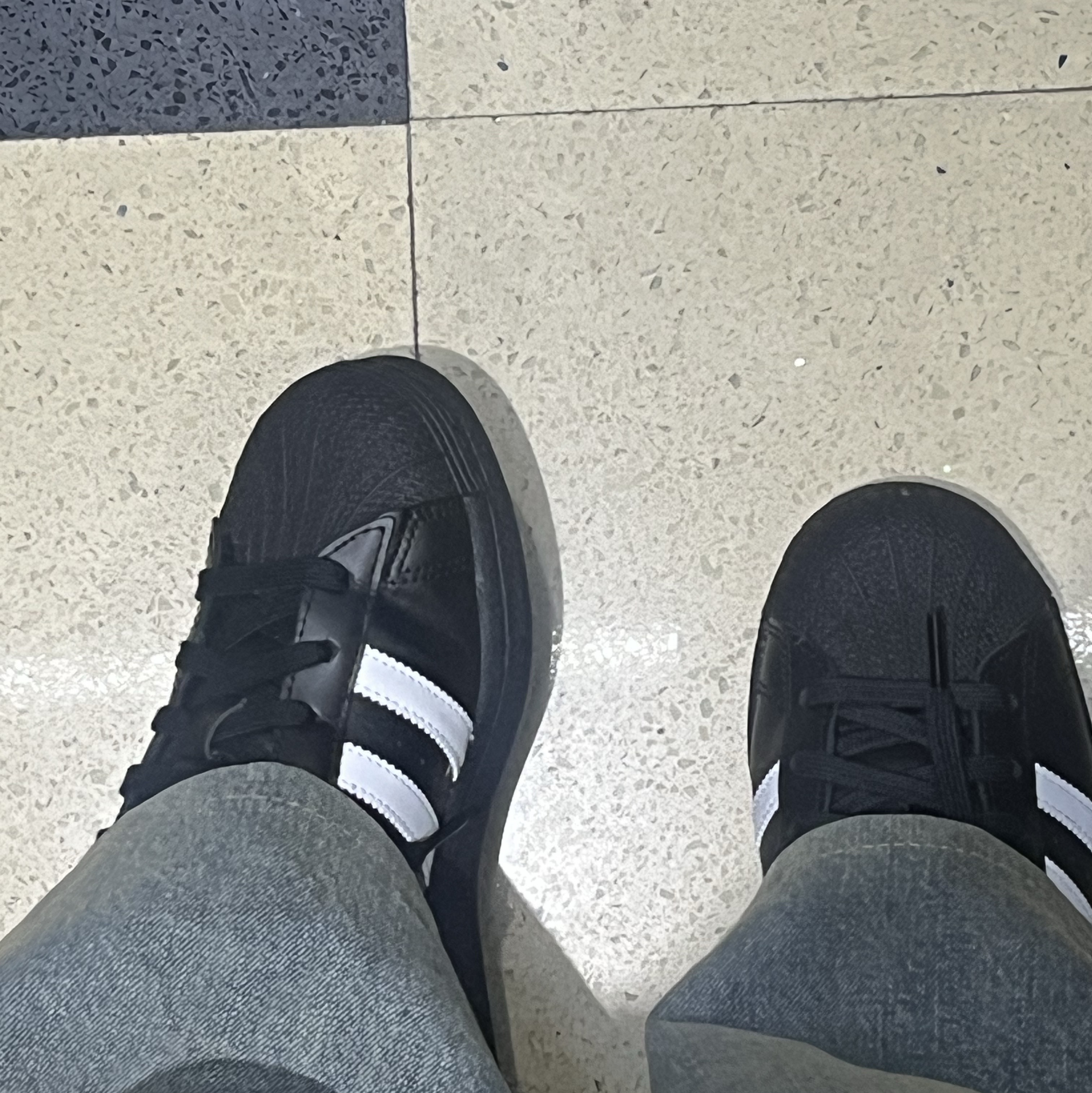 (J) Adidas Superstar Black White 착용 스타일