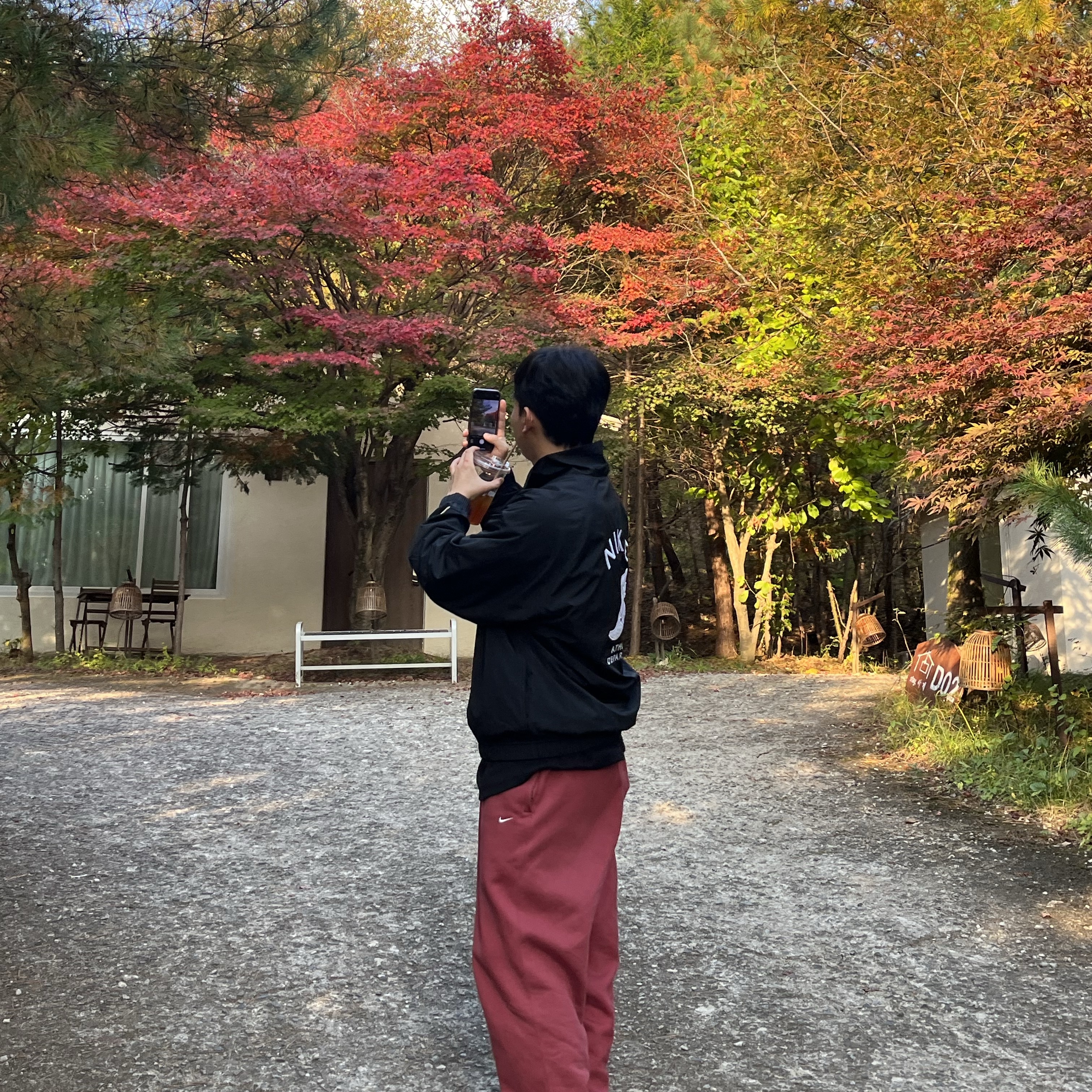 Nike NRG Solo Swoosh Fleece Pants Cedar - US/EU, Asics Jog 100 S Steel Grey - 2E Wide 착용 스타일 - 1