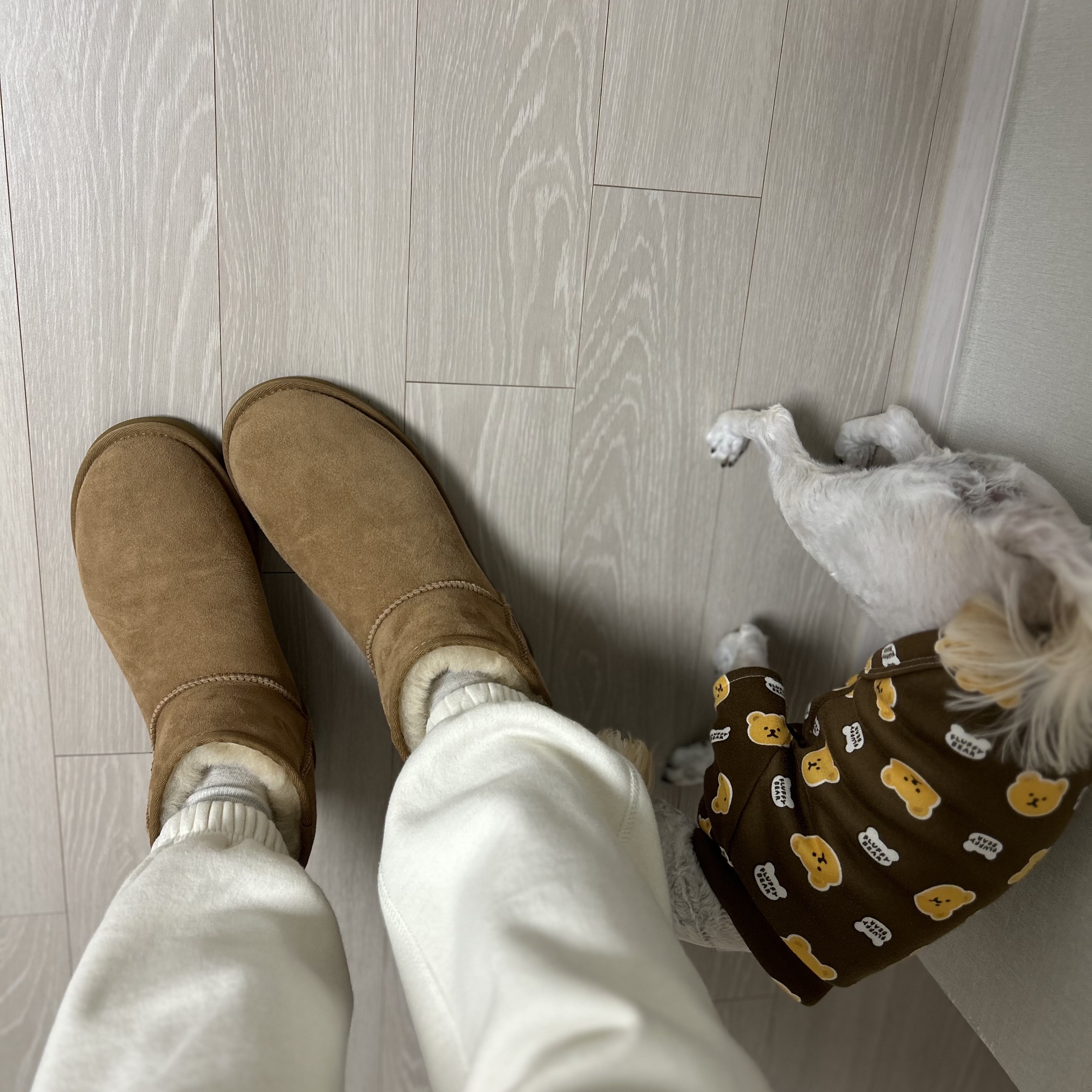 (W) UGG Classic Mini II Boots Chestnut 착용 스타일