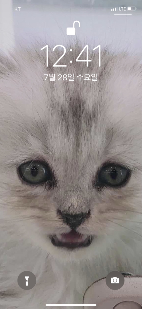 KREAM 프로필 이미지