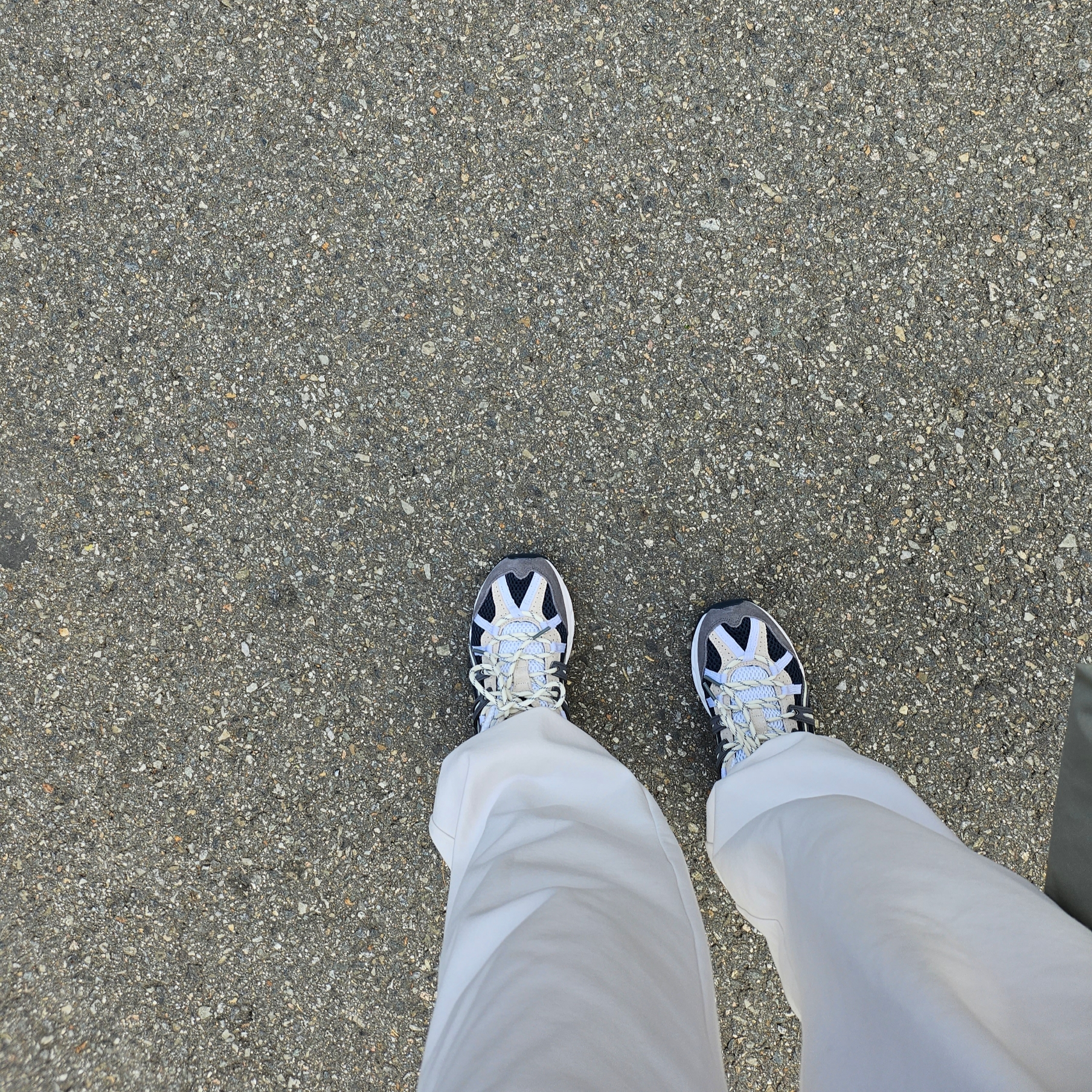 Asics Gel-Sonoma 15-50 French Blue 착용 스타일