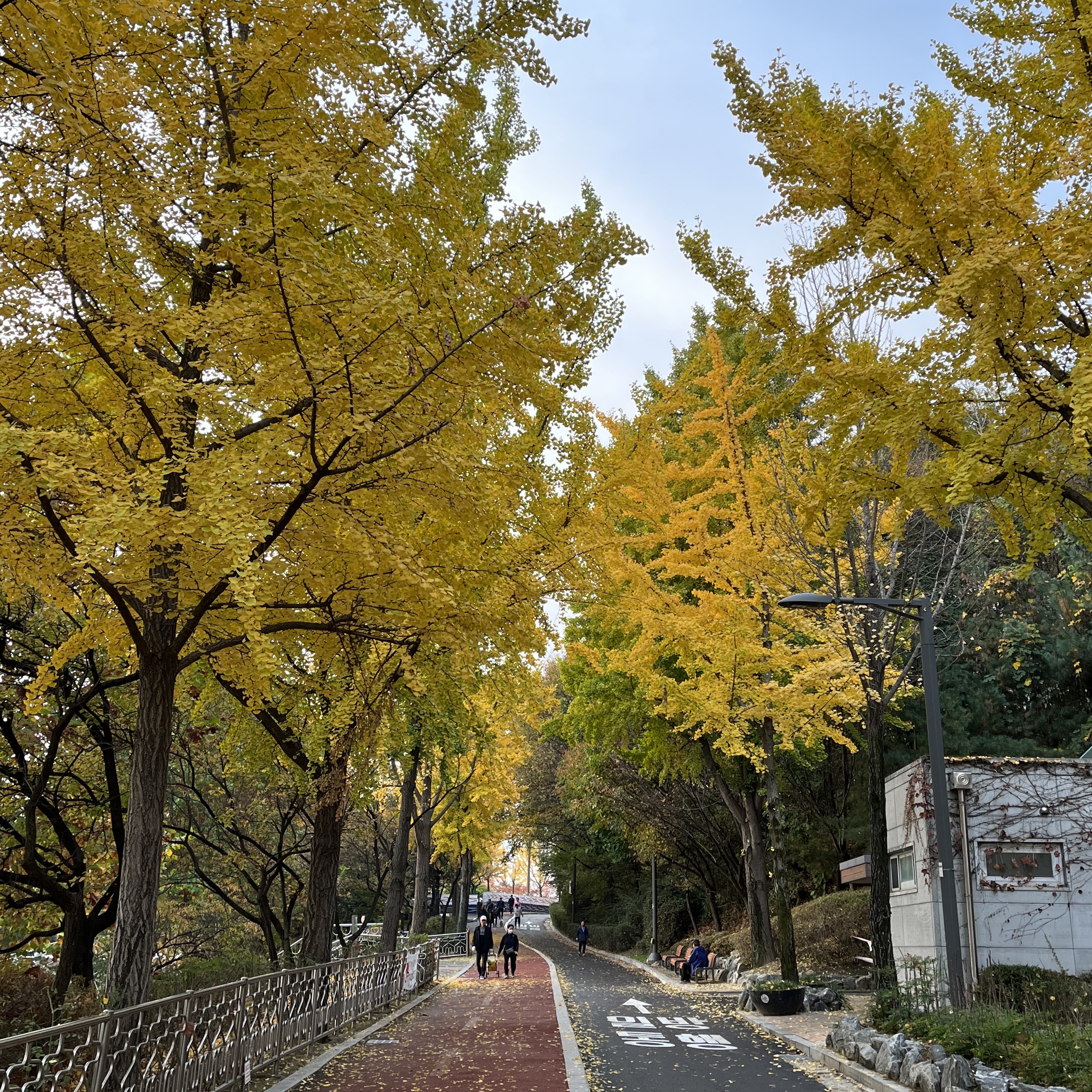 김테스트님의 스타일