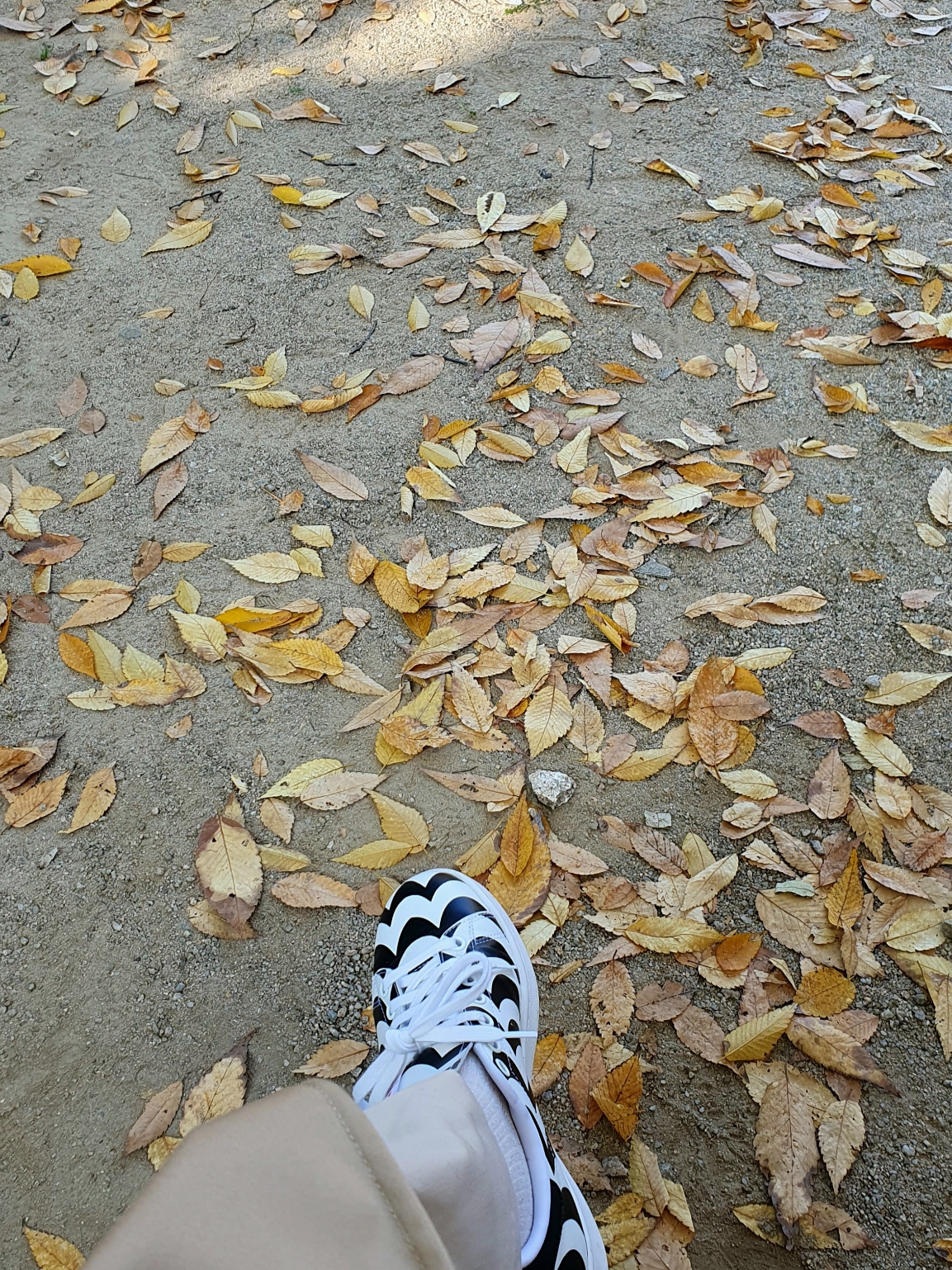 (W) Adidas x Marimekko Stan Smith Black White 착용 스타일