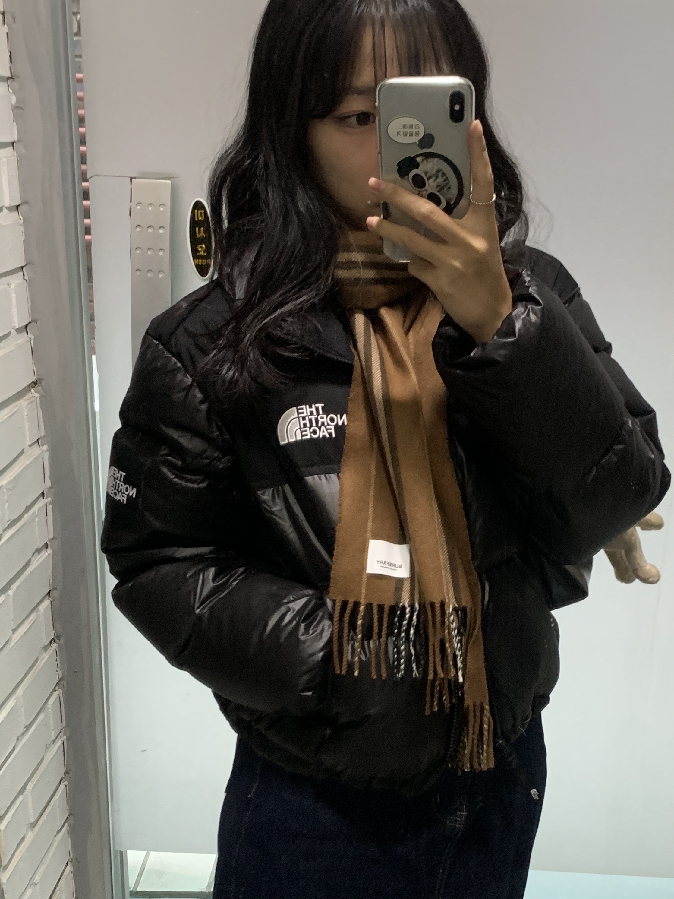 (W) The North Face White Label Novelty Nuptse Down Jacket Black, (W) UGG Classic Mini II Boots Chestnut 착용 스타일 - 2