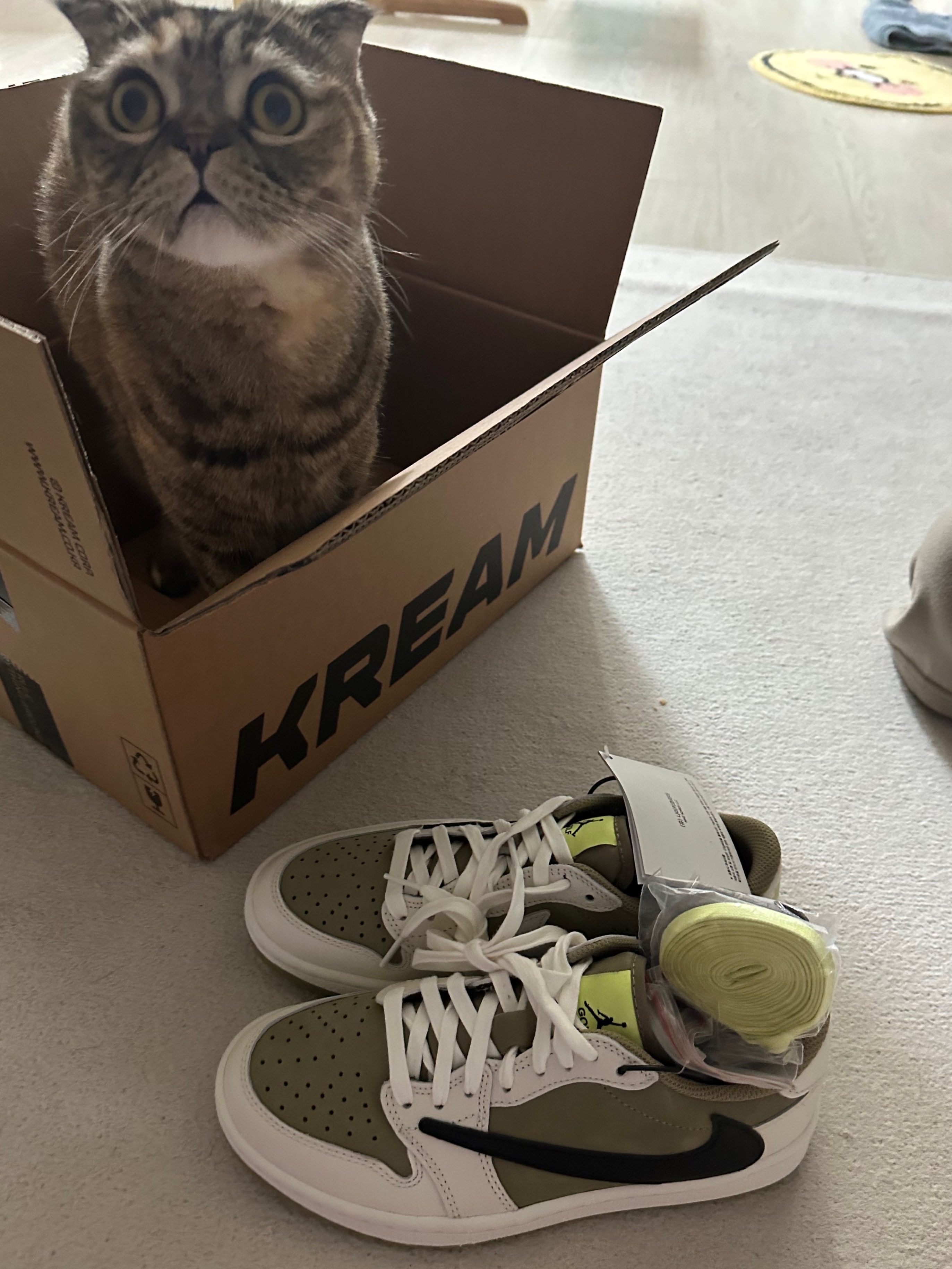 Jordan 1 x Travis Scott Retro Low Golf NRG Neutral Olive 착용 스타일 - 2