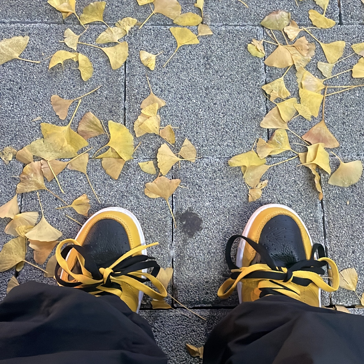 Jordan 1 Retro High OG Pollen 착용 스타일