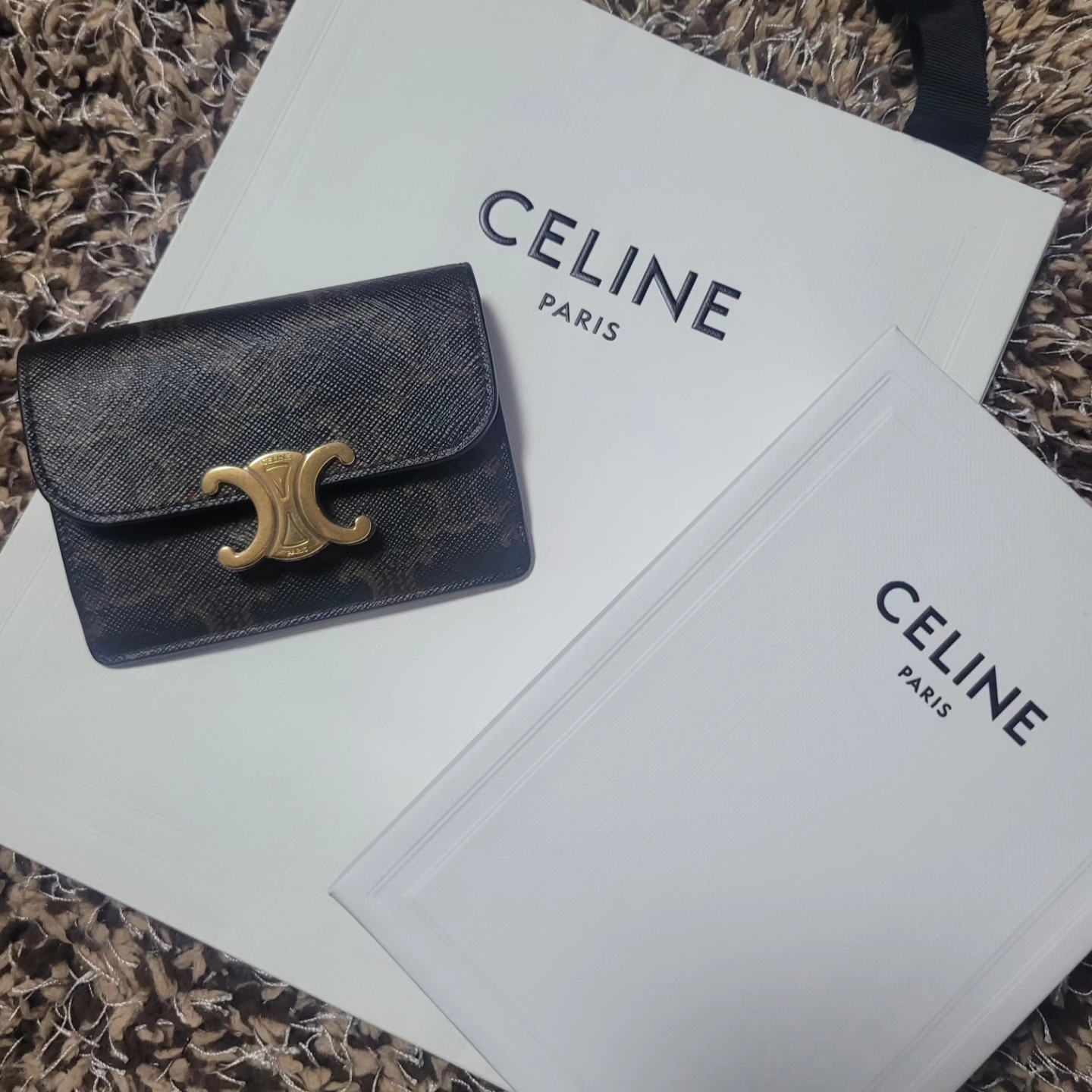 Celine Card Holder with Flap in Triomphe Canvas Tan 착용 스타일