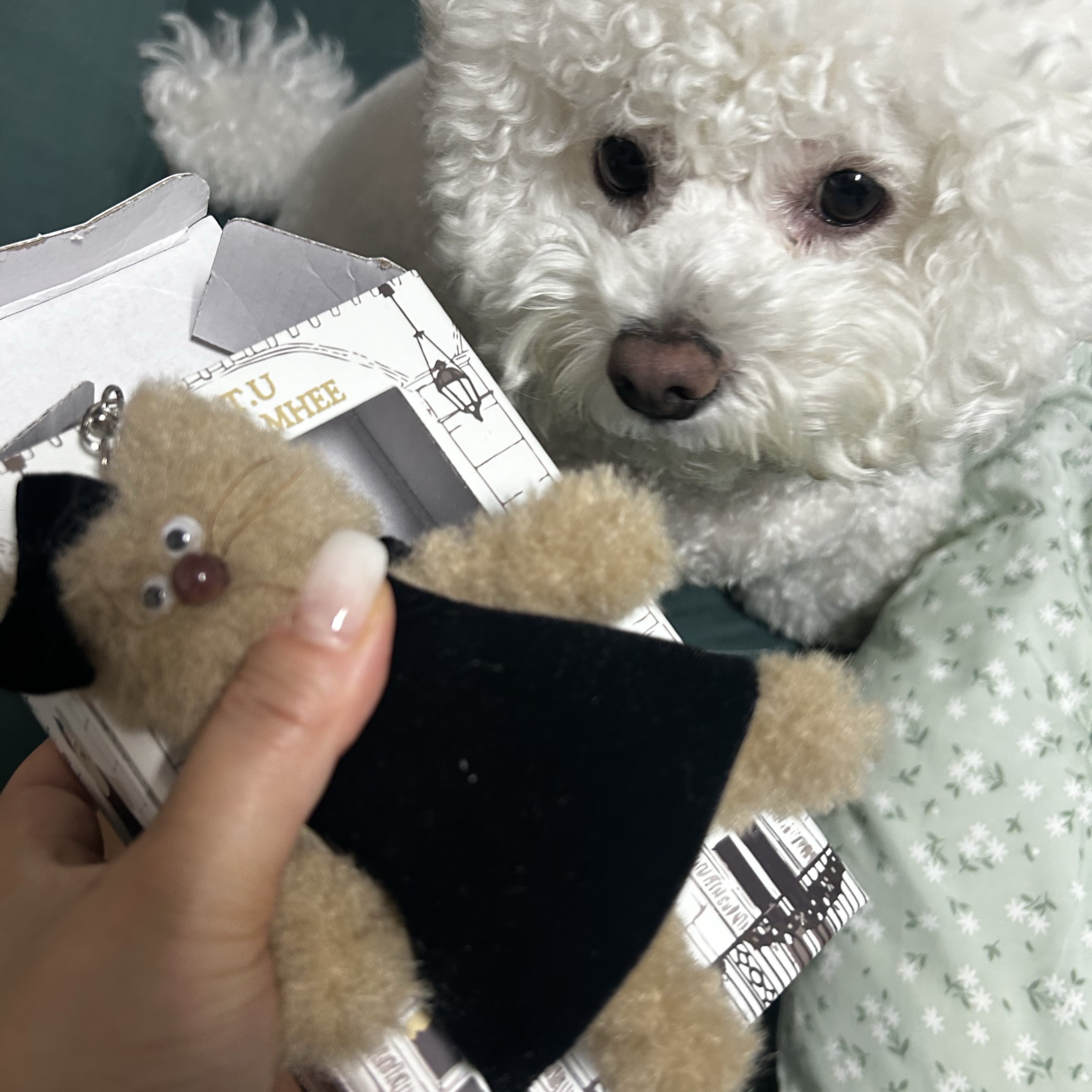 youngs0308님의 스타일 - 2