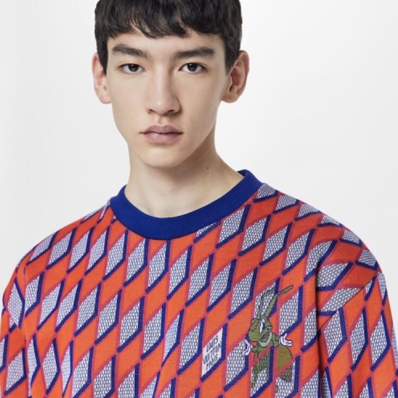 Louis Vuitton Ribbed Damier Crewneck Knit Brown 착용 스타일 - 1