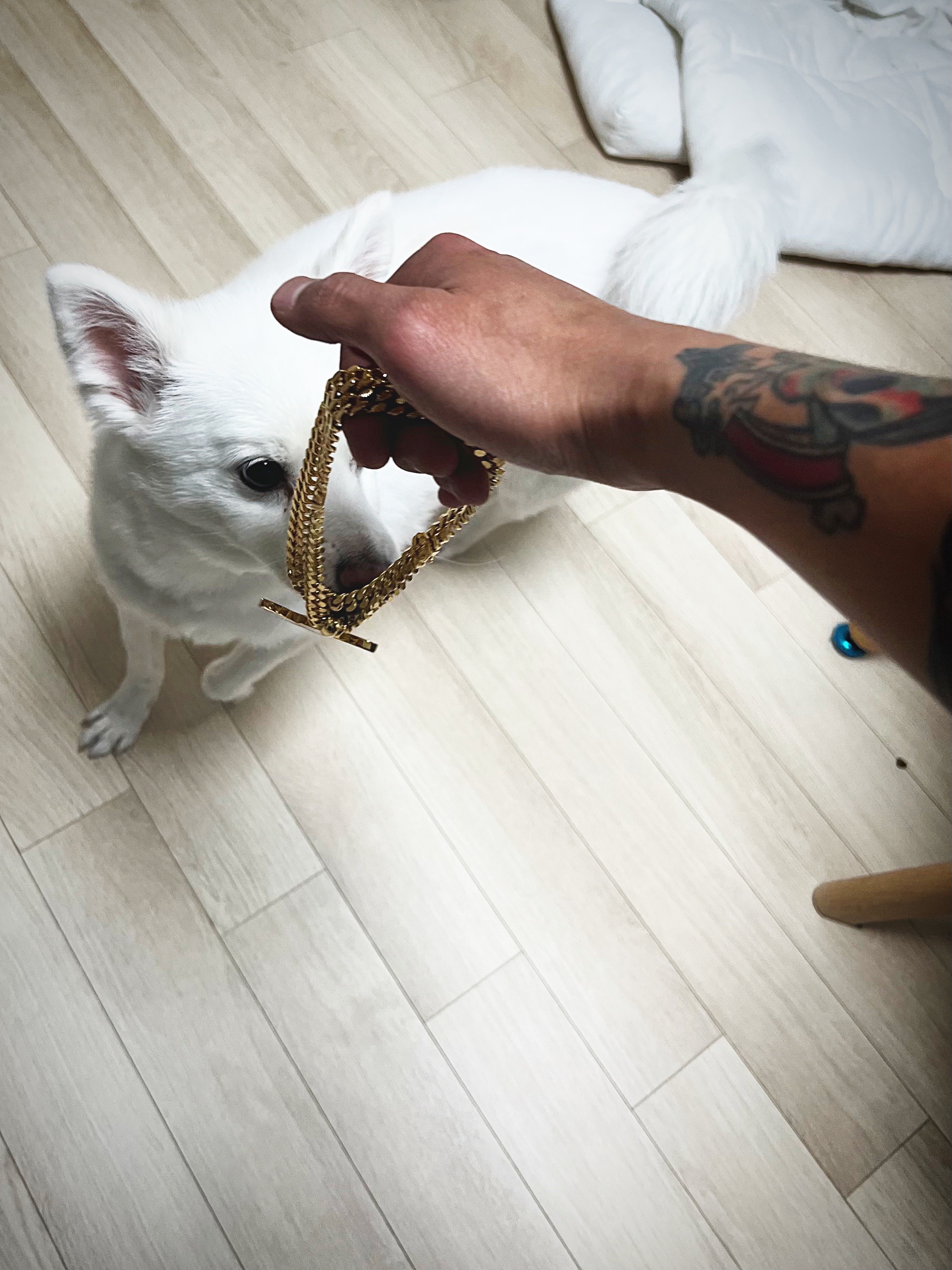 Gucci x Adidas Gourmette Chain Necklace Sterling Silver 착용 스타일 - 9