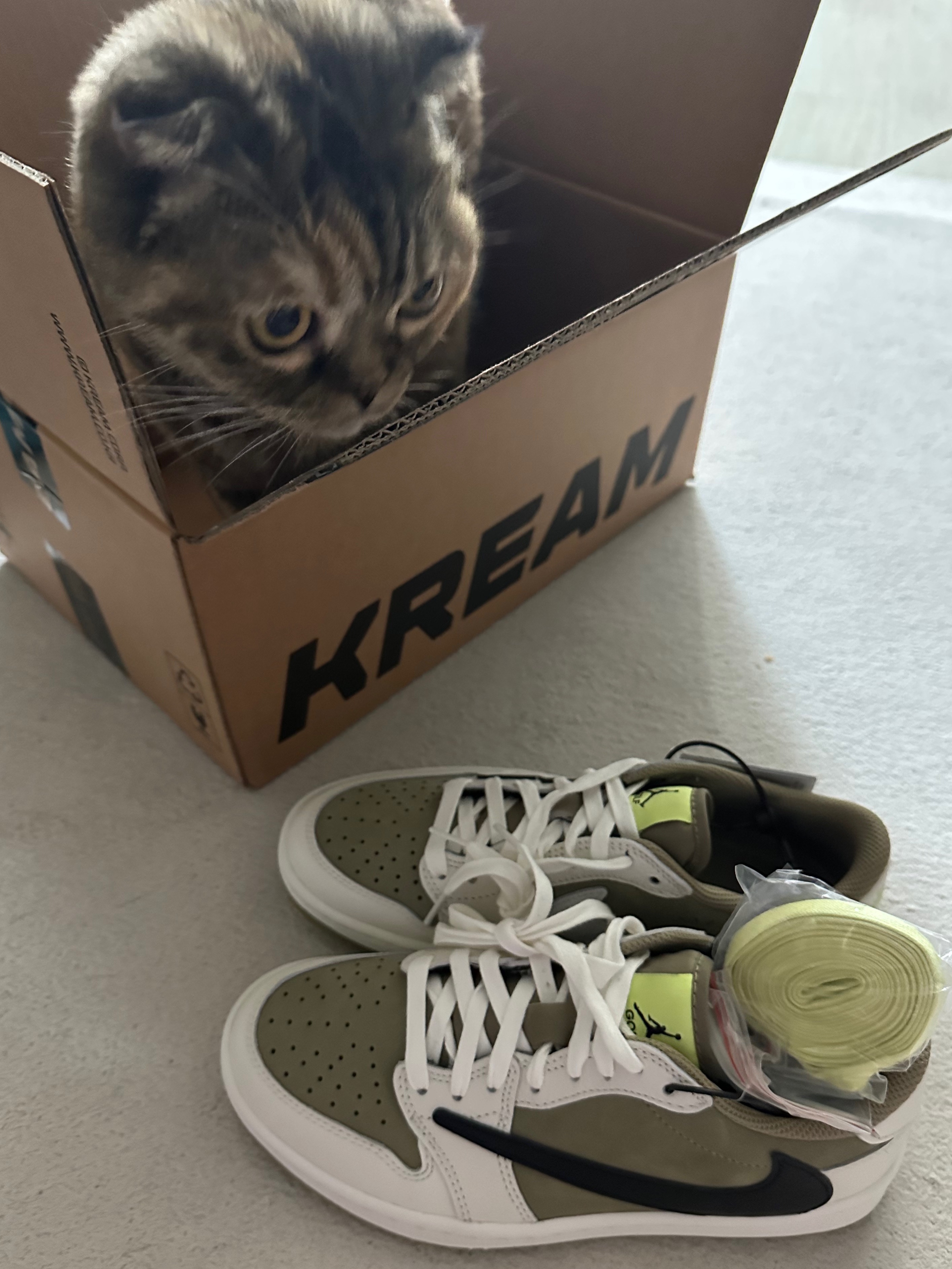 Jordan 1 x Travis Scott Retro Low Golf NRG Neutral Olive 착용 스타일 - 1