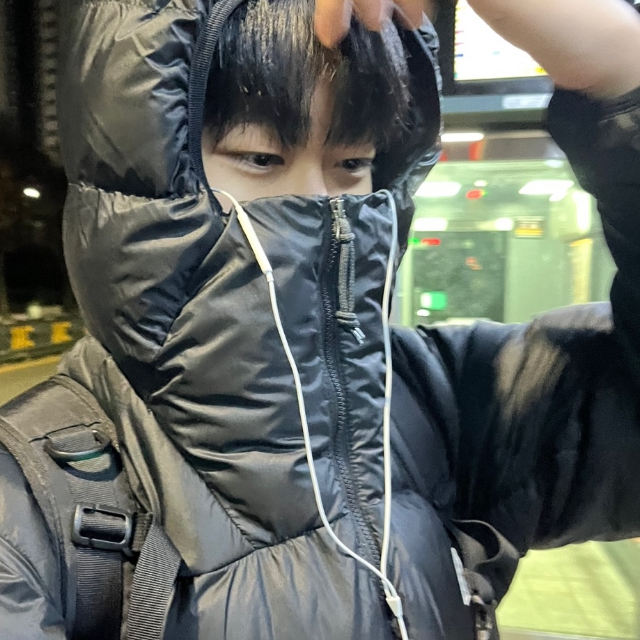 Nike ACG Therma-Fit ADV Lunar Lake Puffer Jacket Black - Asia 착용 스타일