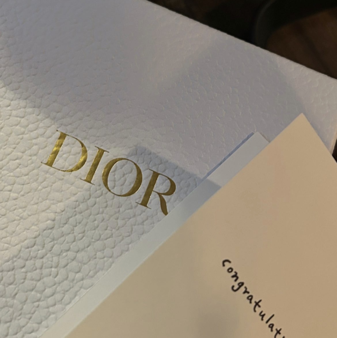 Dior Saddle Flap Card Holder Blue Dior Oblique Jacquard 착용 스타일