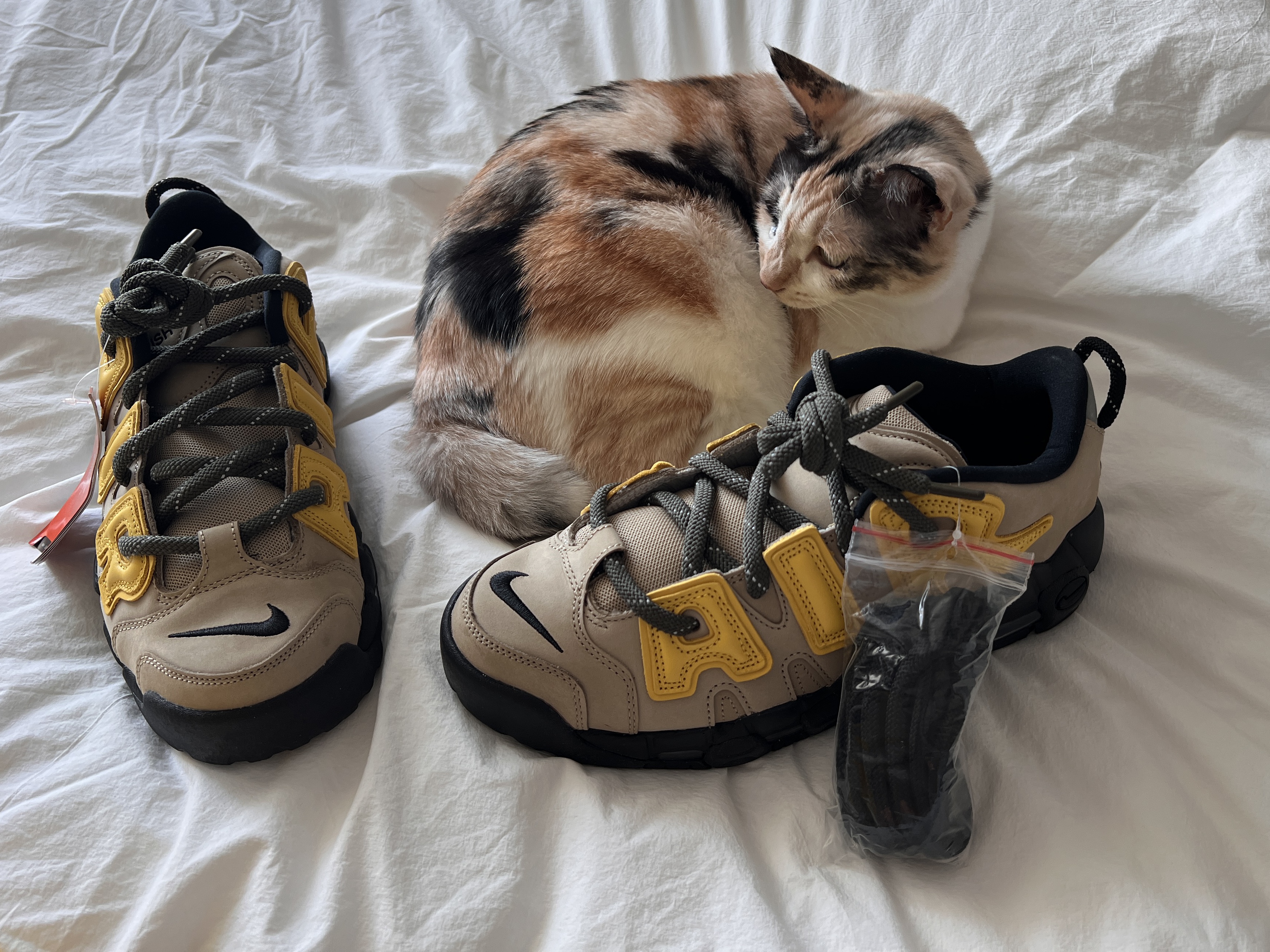 Nike x Ambush Air More Uptempo Low Vivid Sulfur and Limestone 착용 스타일 - 3