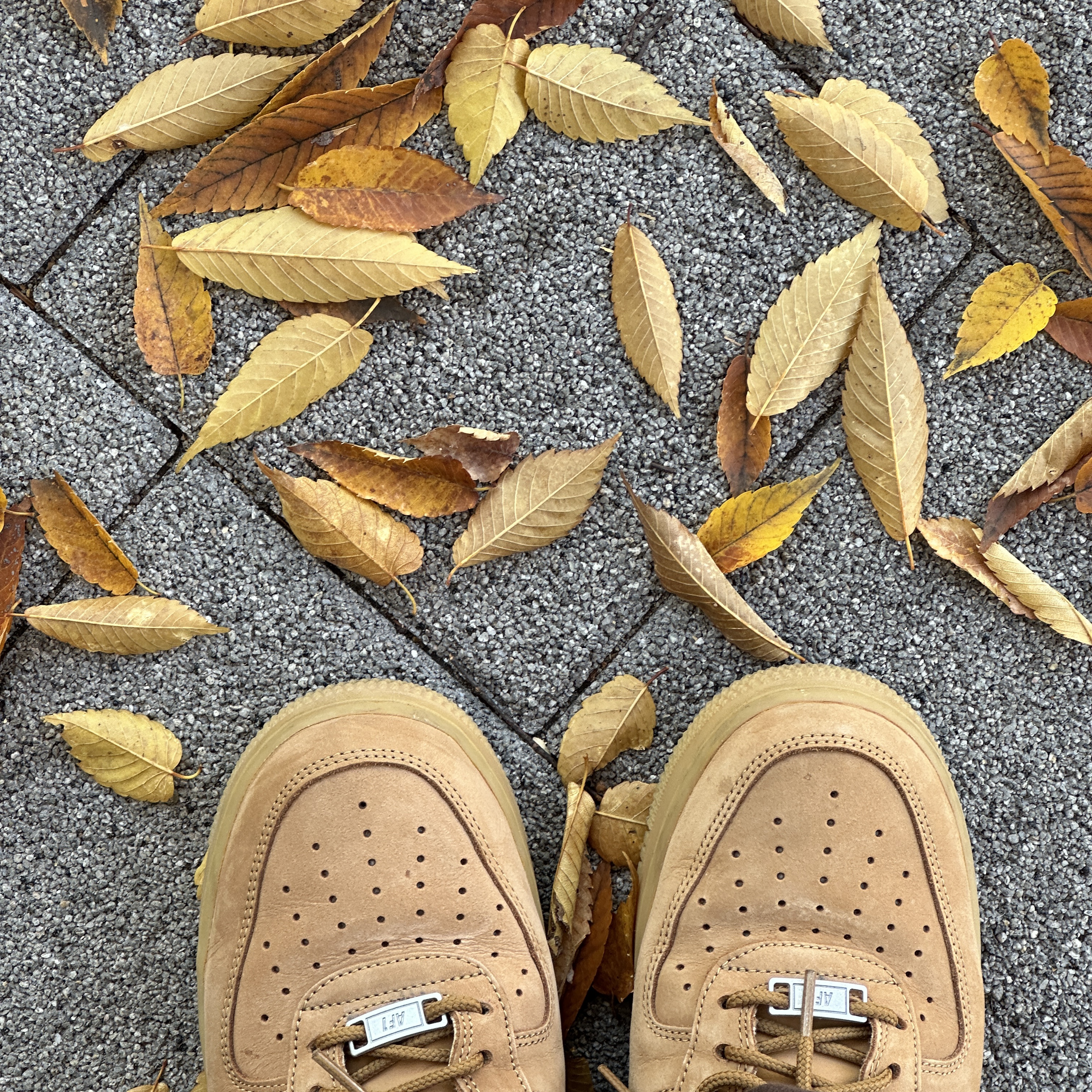Nike Air Force 1 '07 WB Flax 착용 스타일