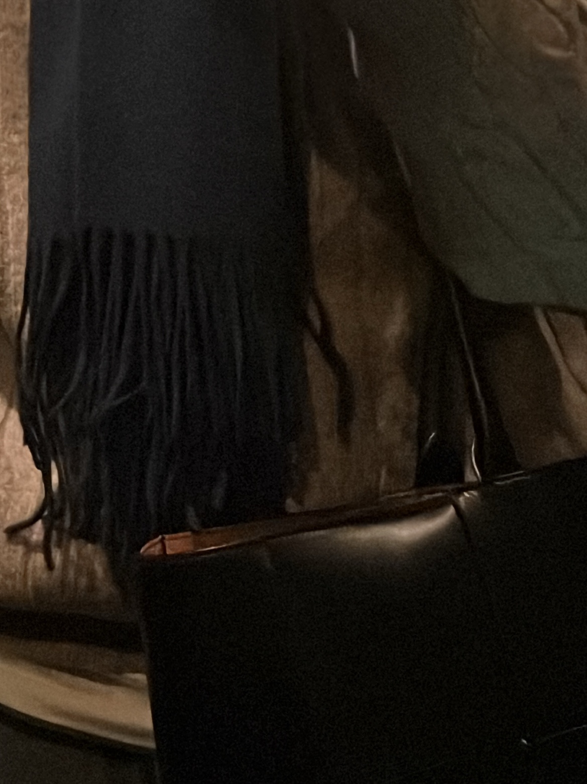 Bottega Veneta Large Arco Tote Bag Nero 착용 스타일 - 1
