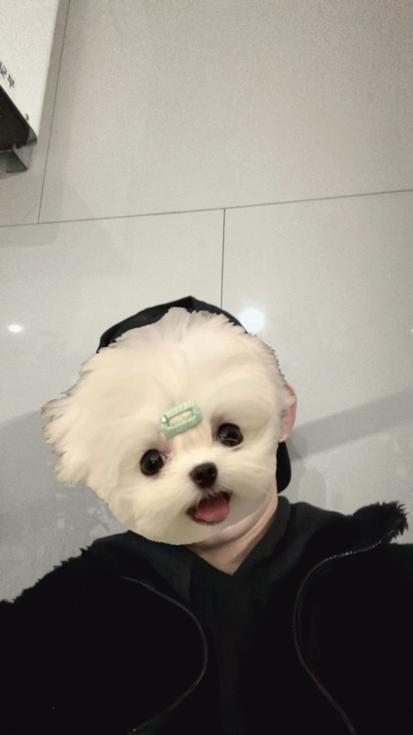 KREAM 프로필 이미지