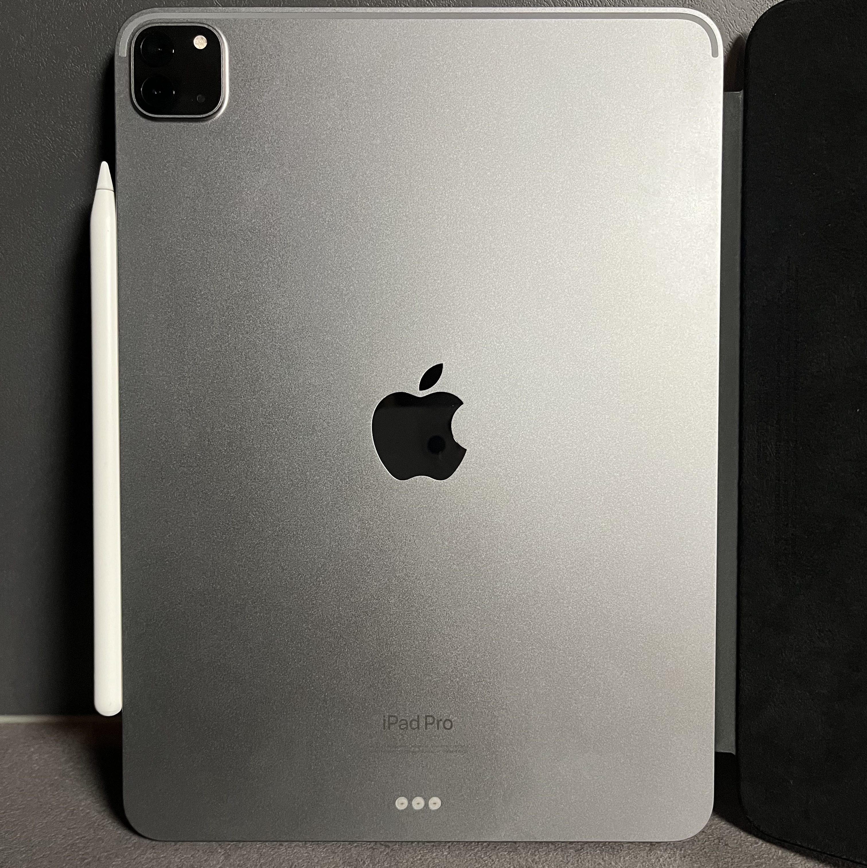 Apple iPad Pro 4th Gen 11-inch Wifi 128GB Space Gray (Korean Ver.) 착용 스타일