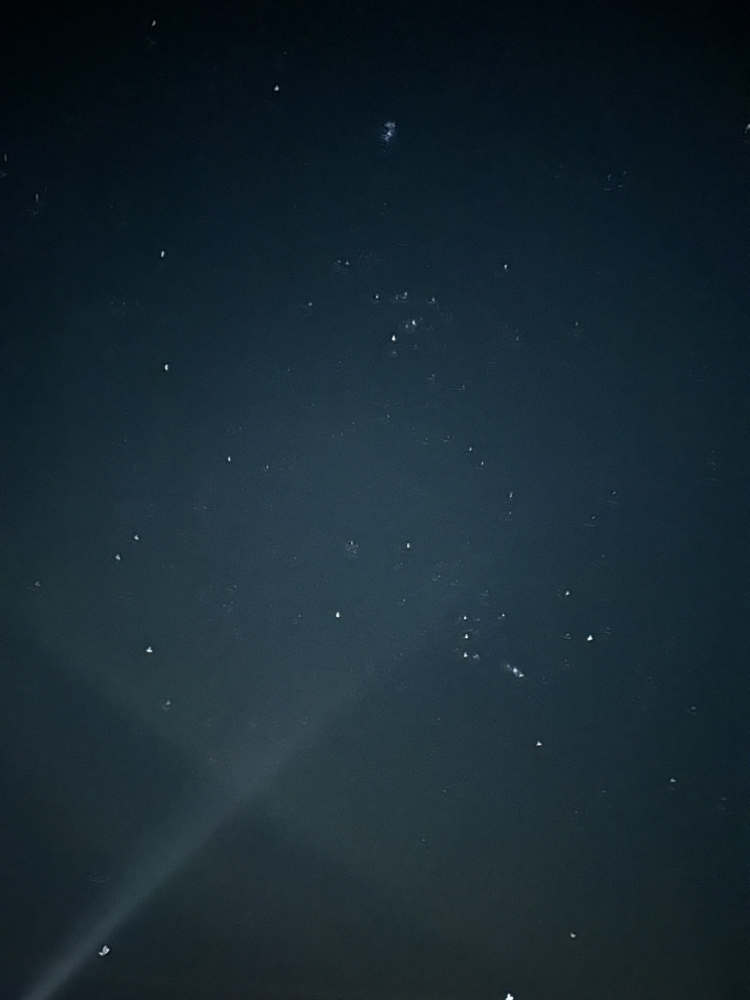 관심 유저 프로필 이미지