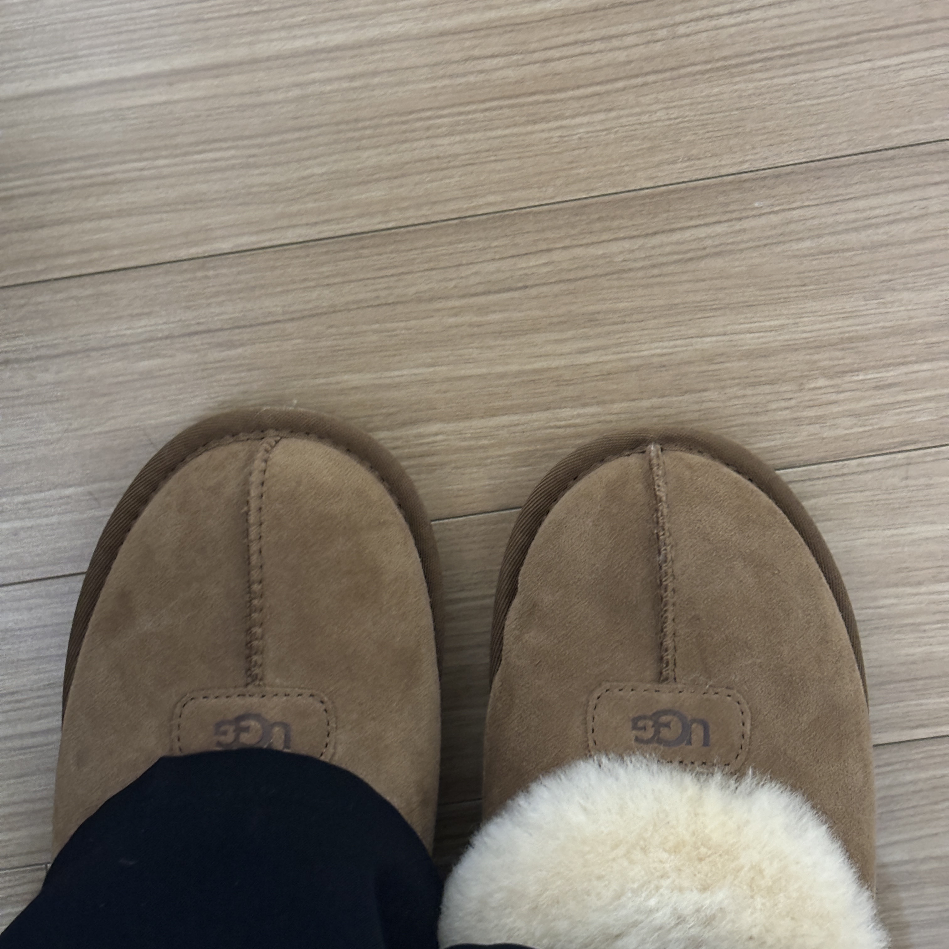 (W) UGG Coquette Slipper Chestnut 착용 스타일