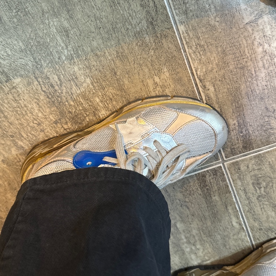 (W) Golden Goose Mesh and Suede Dad-Star Sneakers Silver 착용 스타일