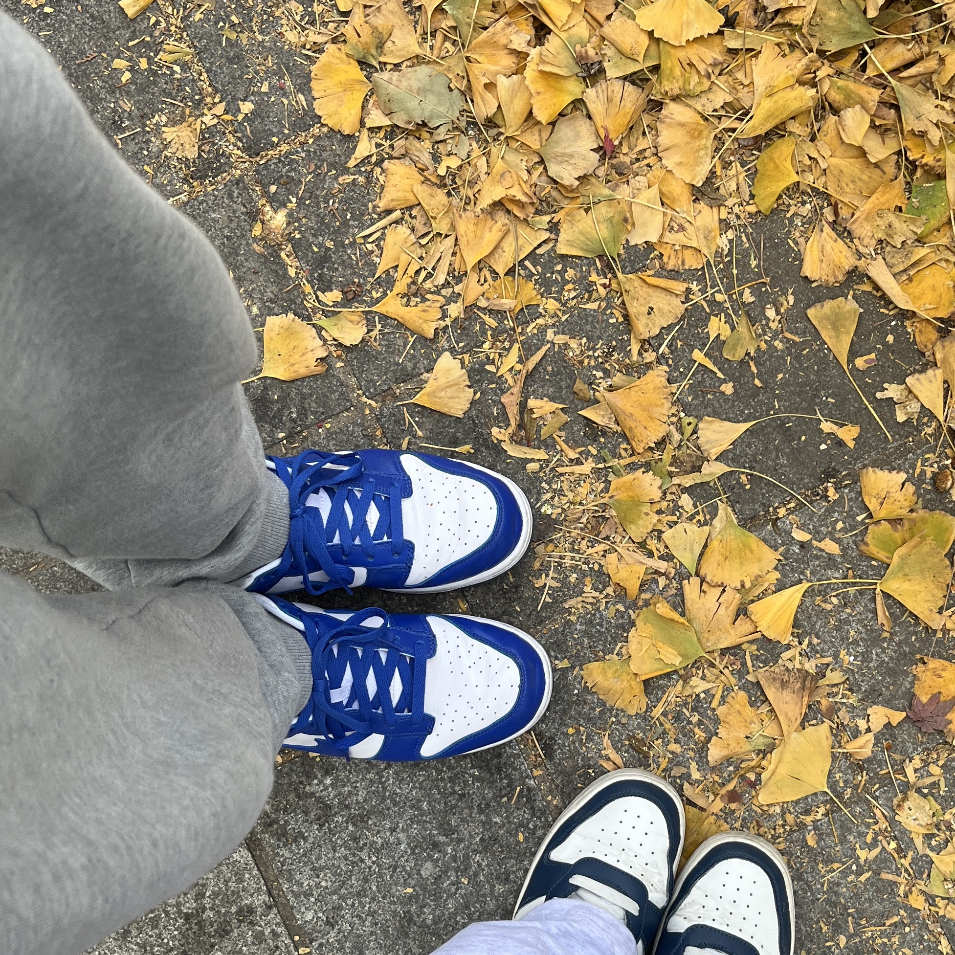 Nike Dunk Low SP Kentucky 2022 착용 스타일