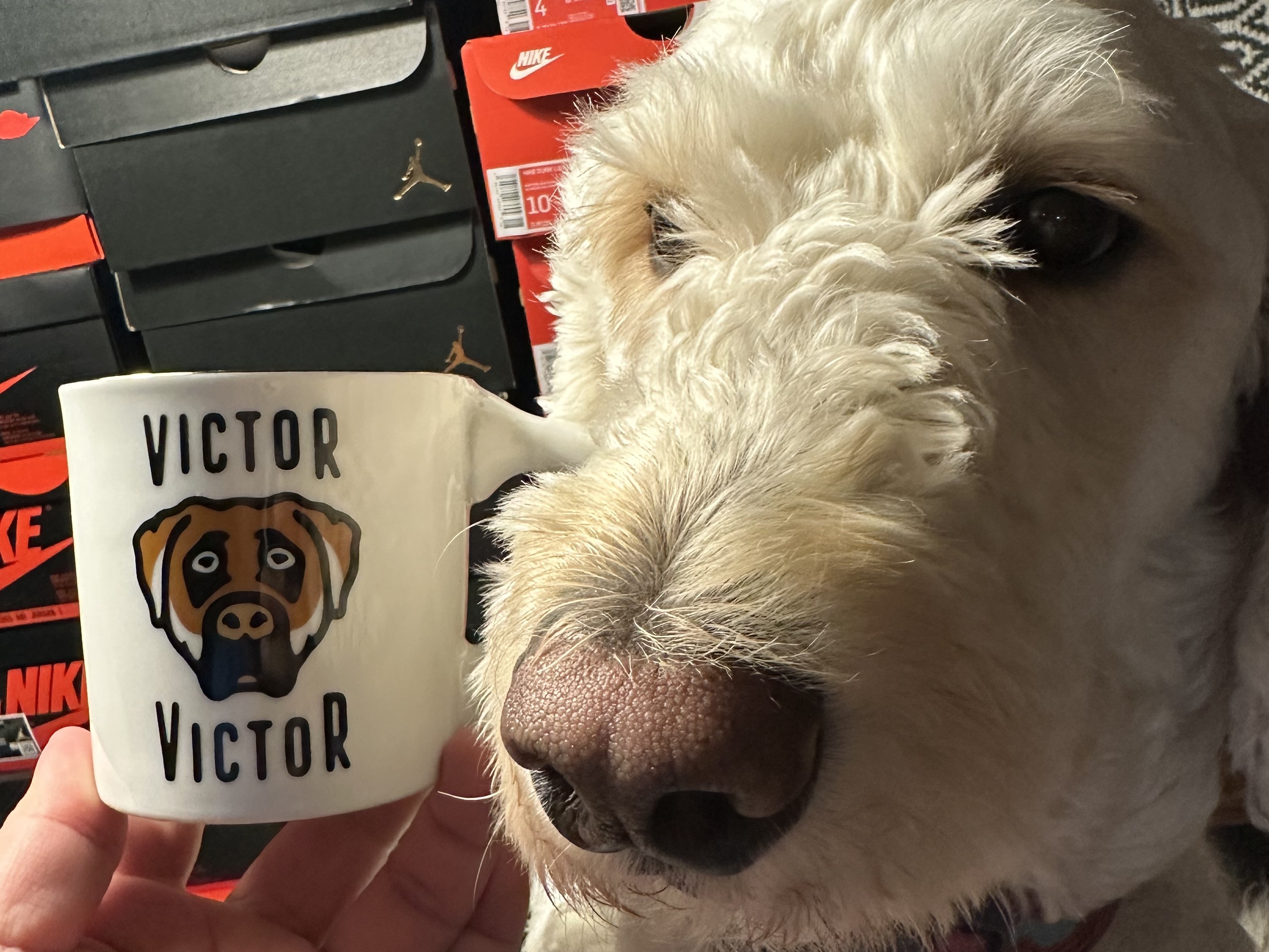 Victor Victor Mug White, Human Made 6-Panel Wool Cap Green 착용 스타일 - 3