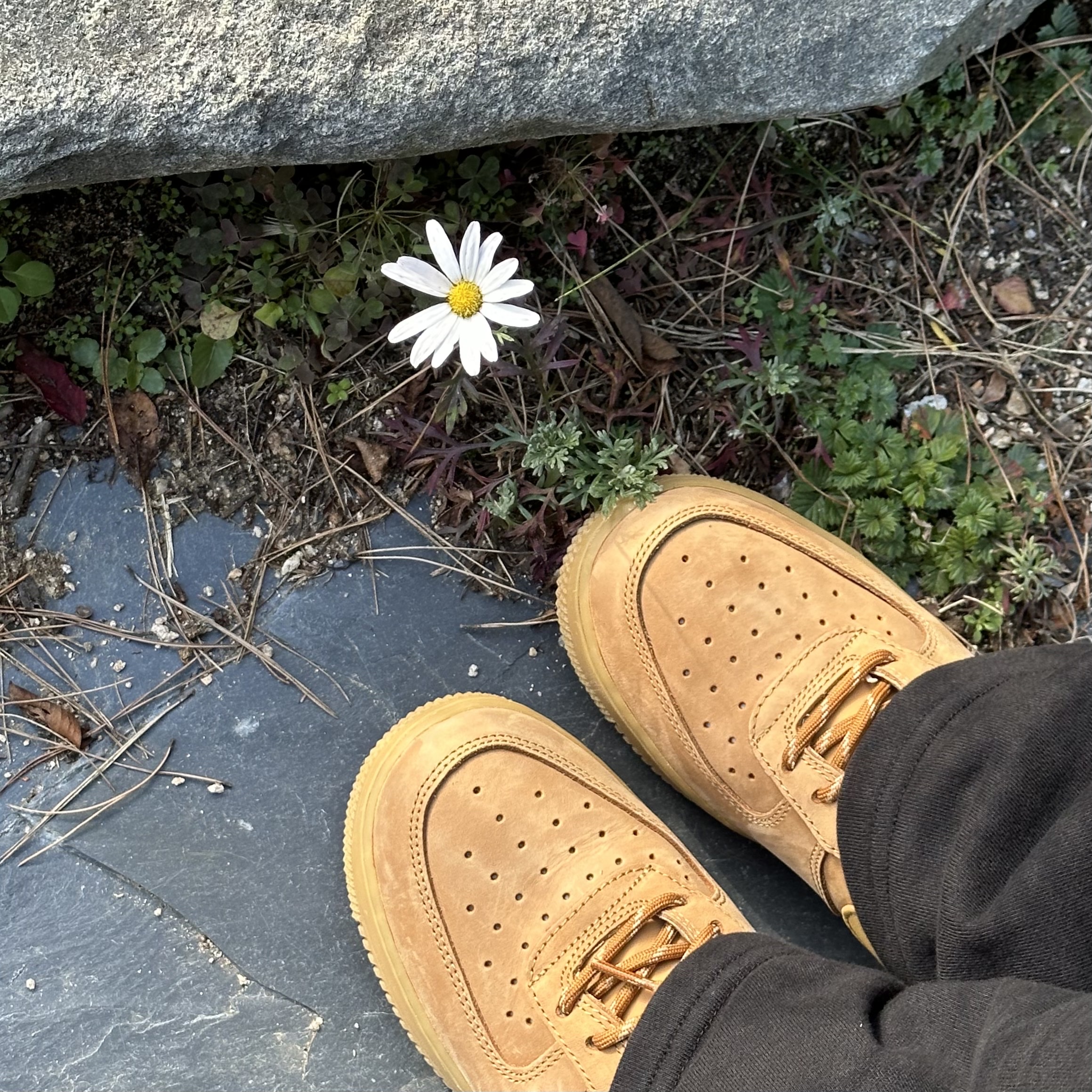 Nike Air Force 1 '07 WB Flax 착용 스타일 - 1