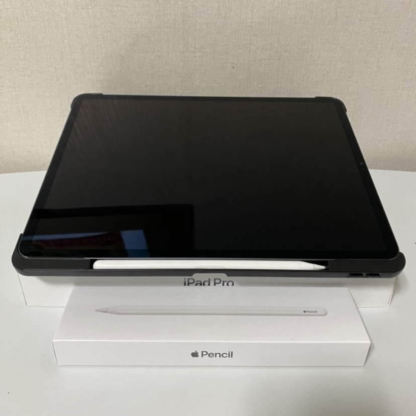 Apple iPad Pro 5th Gen 12.9-inch Cellular 2TB Space Gray (Korean Ver.) 착용 스타일