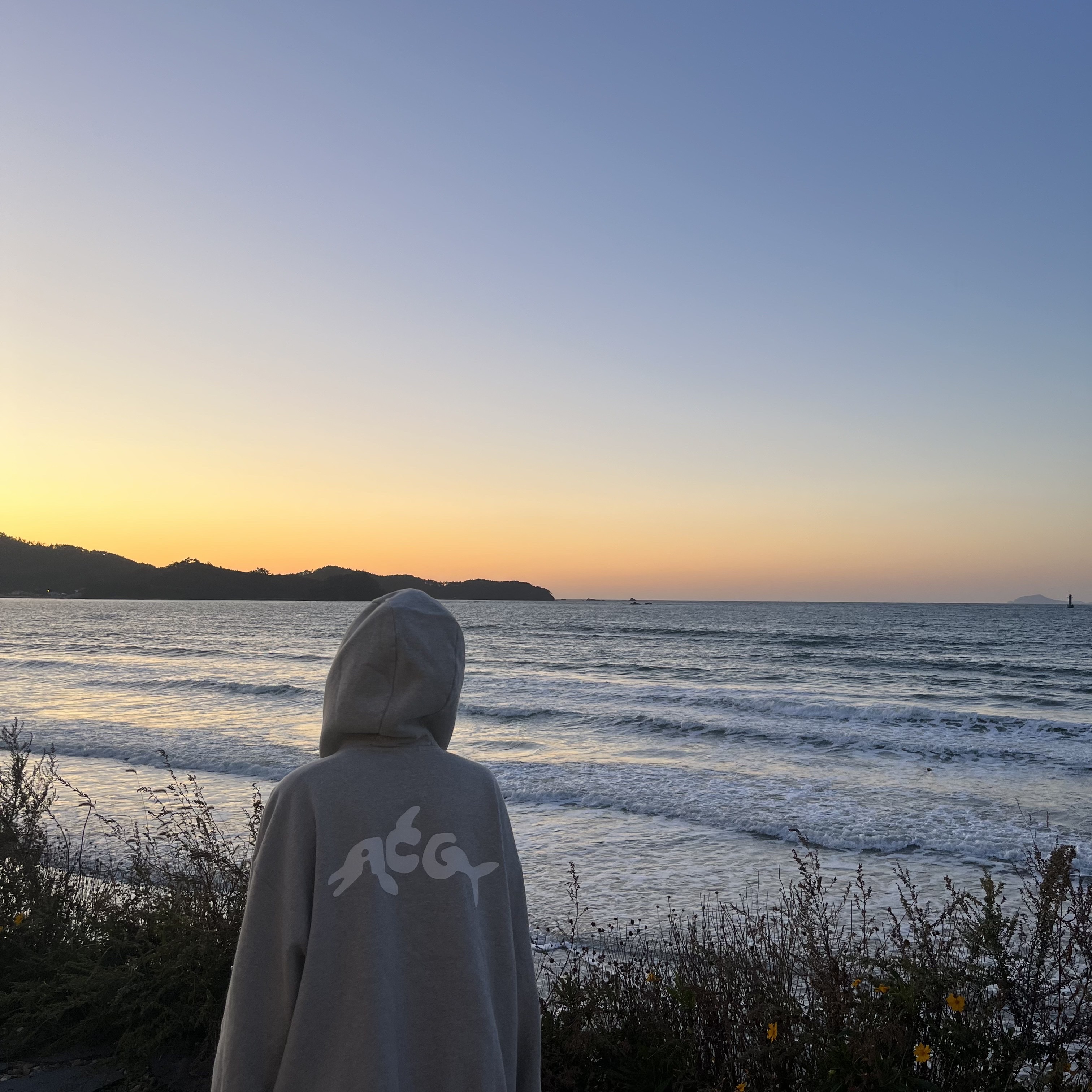 Nike NRG ACG GPX Dolphin Hoodie Grey - Asia 착용 스타일